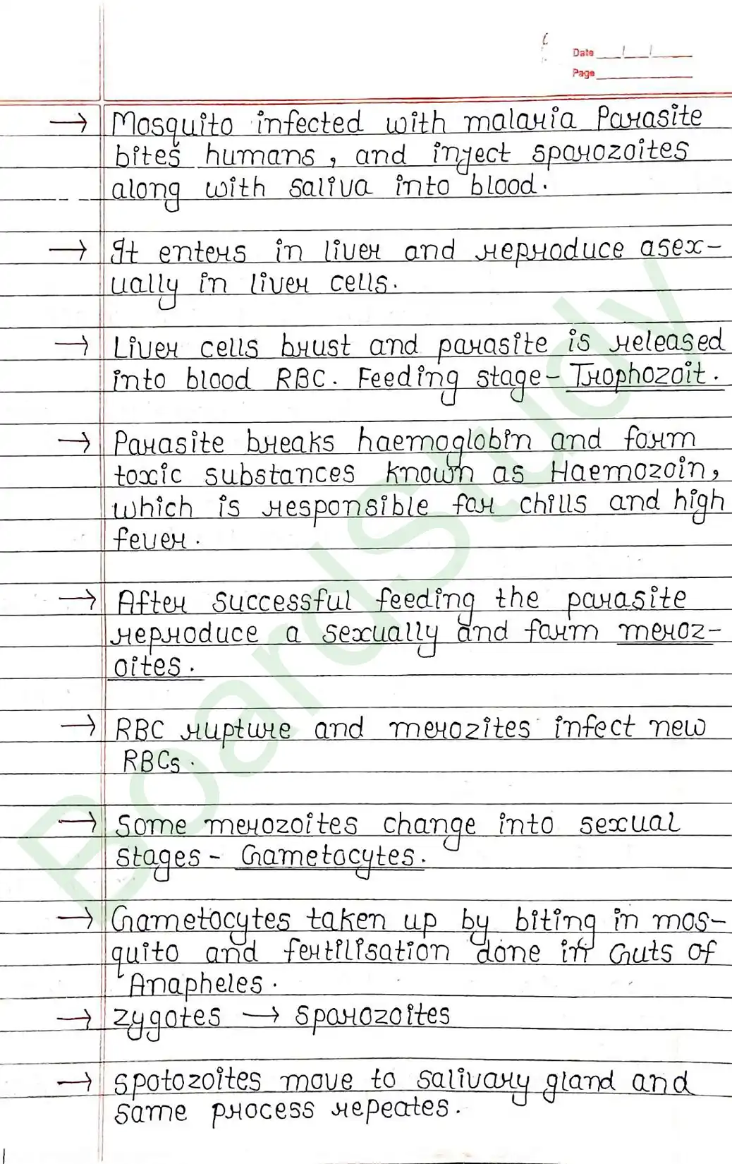 7. Human health and disease-7_..._page-0006