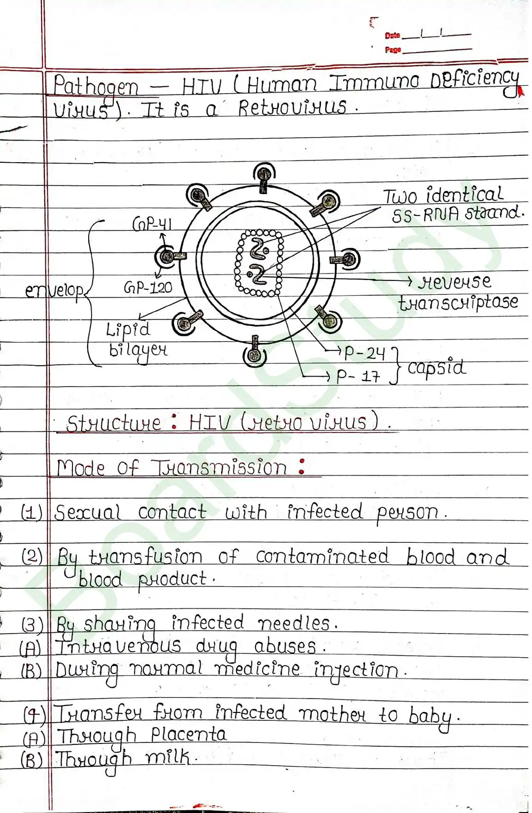 7. Human health and disease-7_..._page-0023