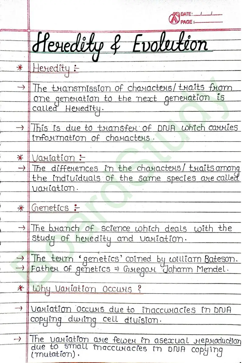 8. Heredity & Evolution_page-0001