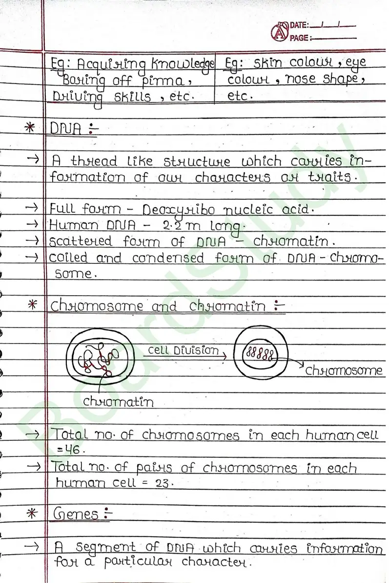 8. Heredity & Evolution_page-0003