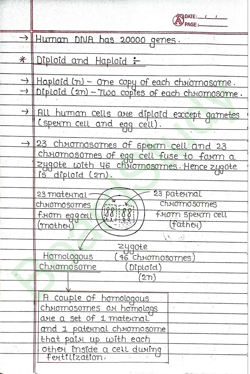 8. Heredity & Evolution_page-0004