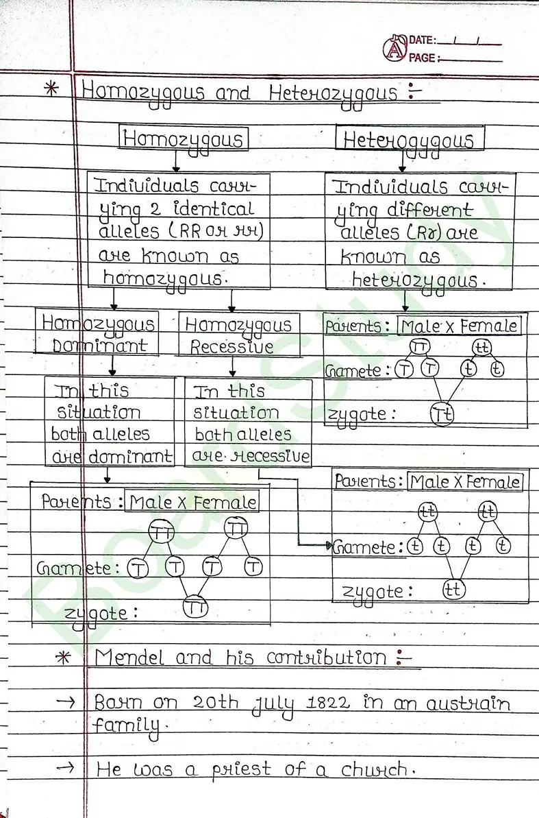 8. Heredity & Evolution_page-0006