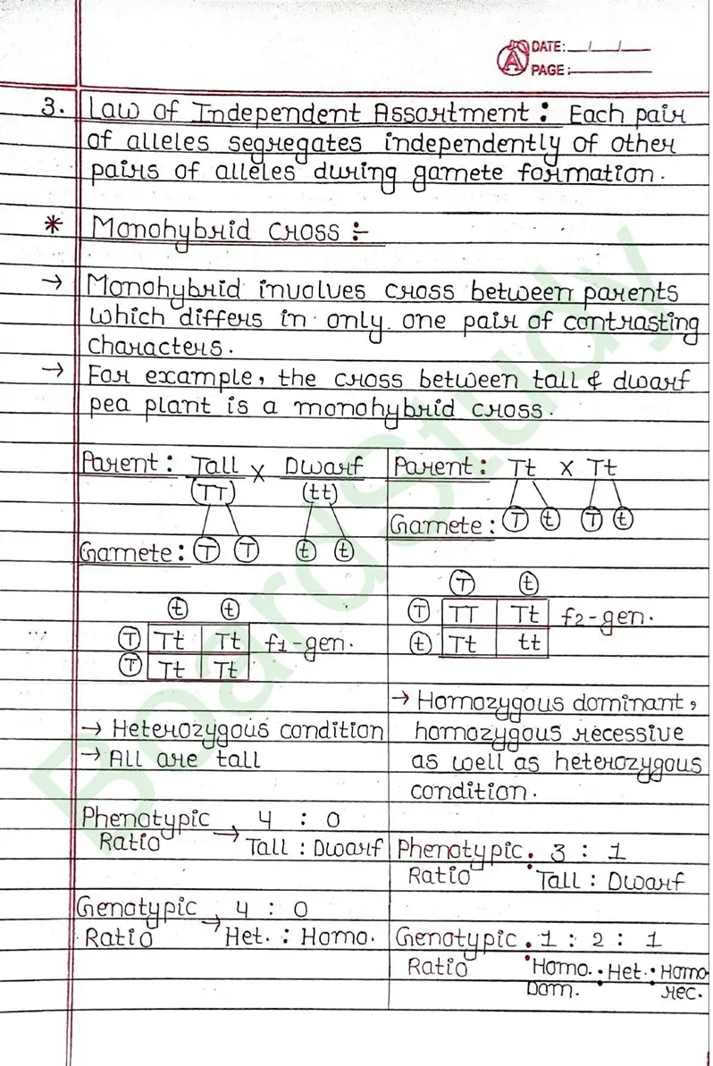 8. Heredity & Evolution_page-0009