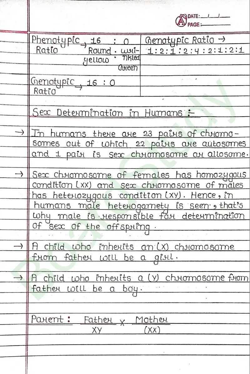 8. Heredity & Evolution_page-0011