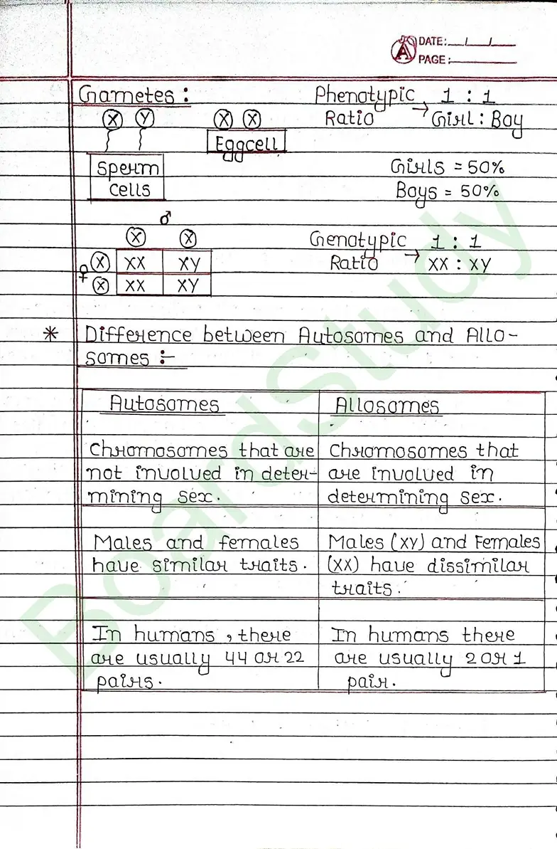 8. Heredity & Evolution_page-0012