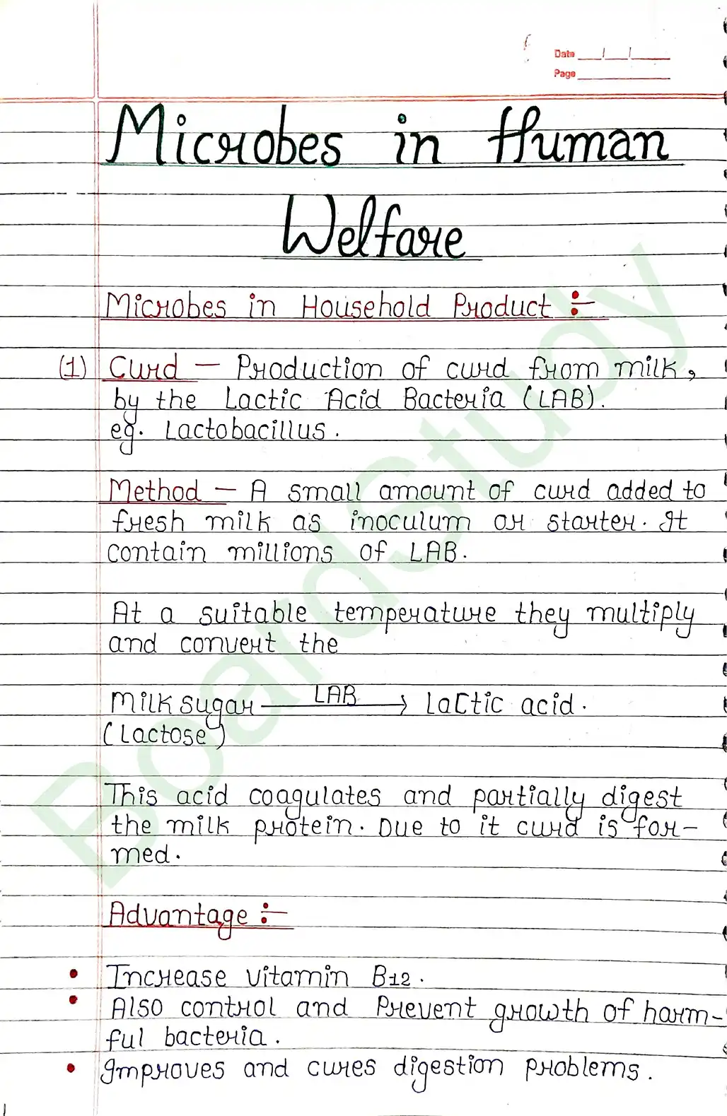 8. Microbes in human welfare-6_page-0001