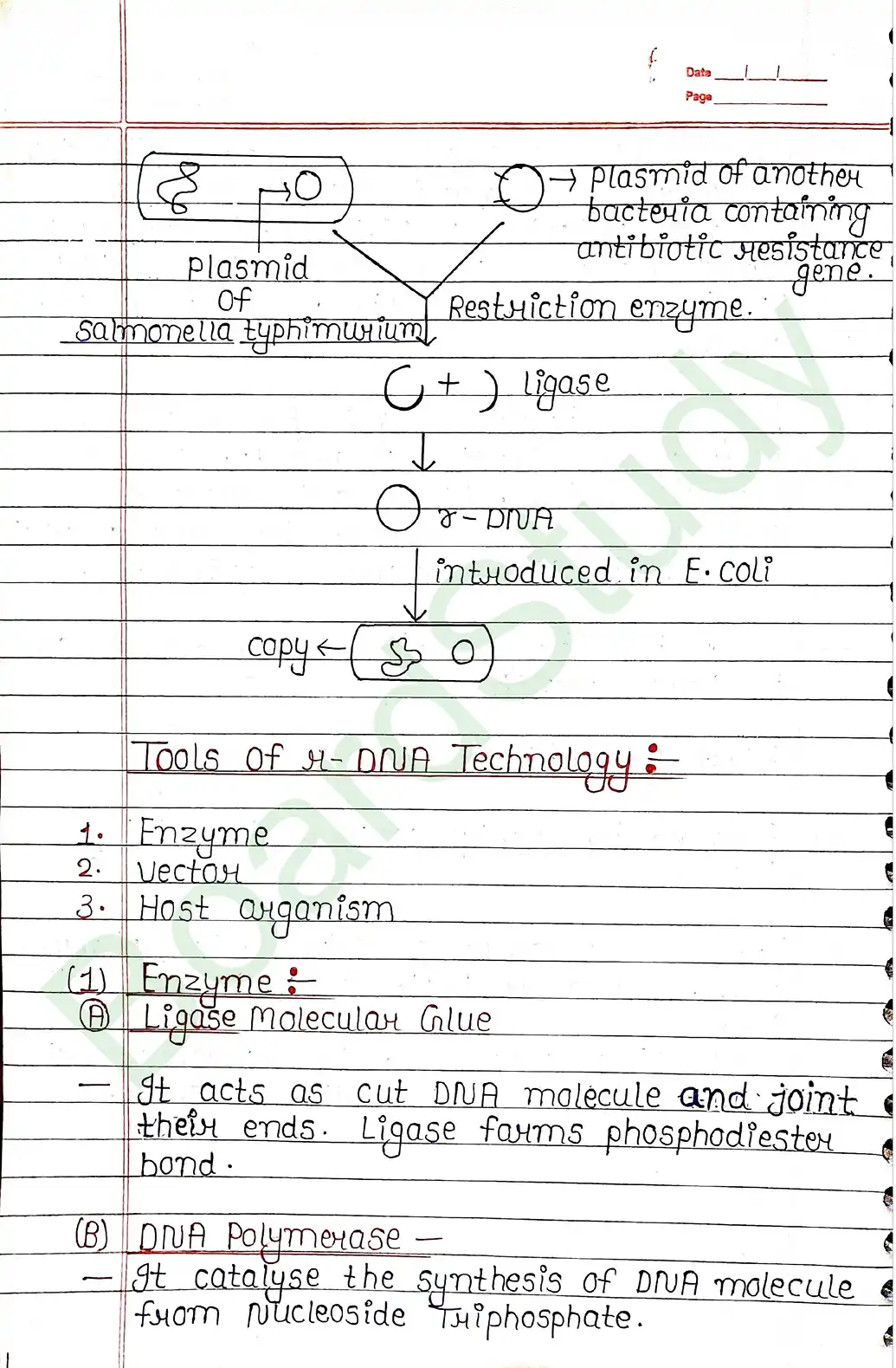 9. Biotechnology principals and process-5_page-0003