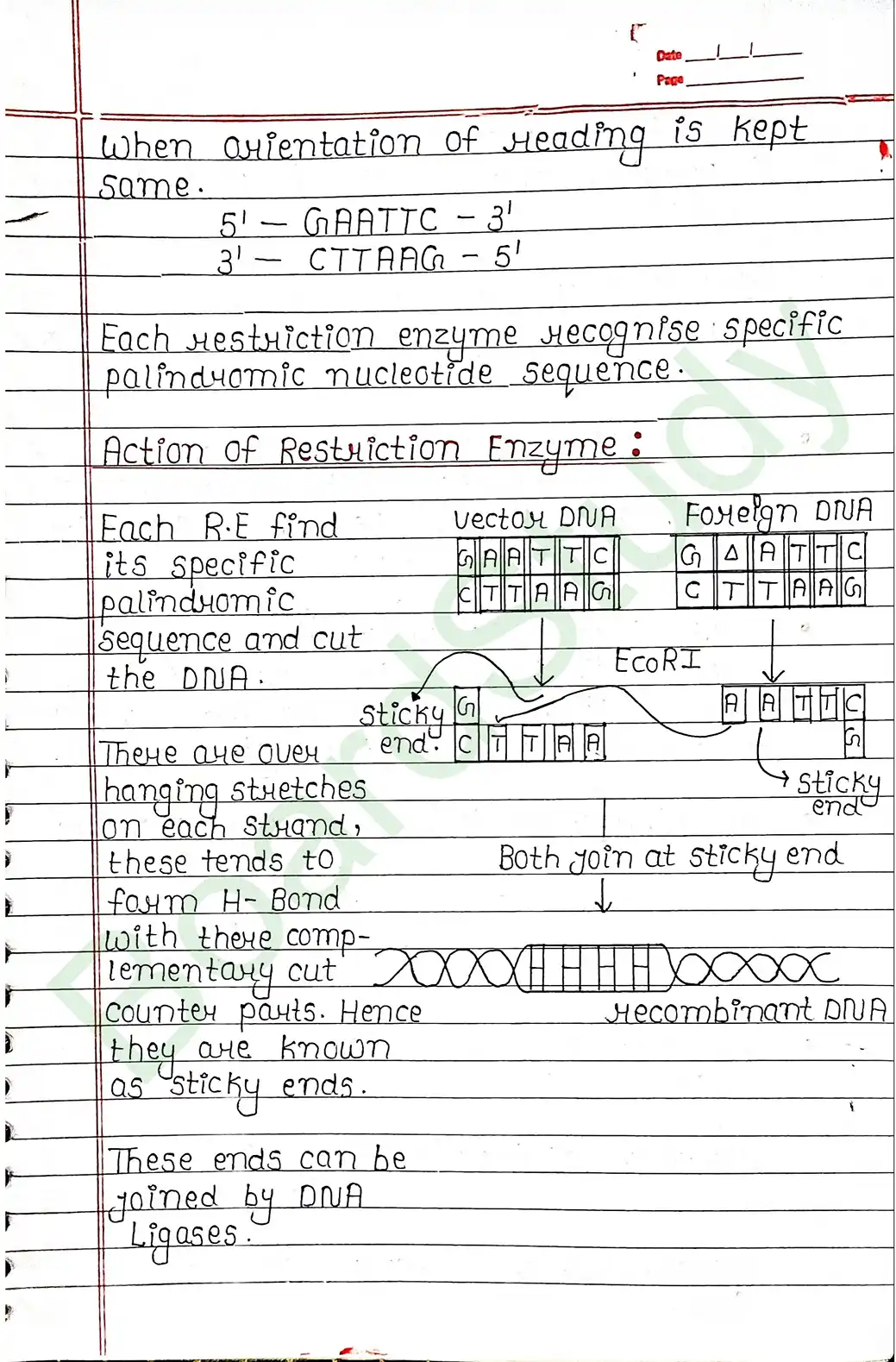 9. Biotechnology principals and process-5_page-0006