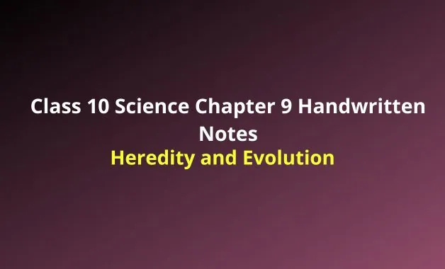 Class 10 Science Chapter 9 Heredity and Evolution Handwritten Notes ...