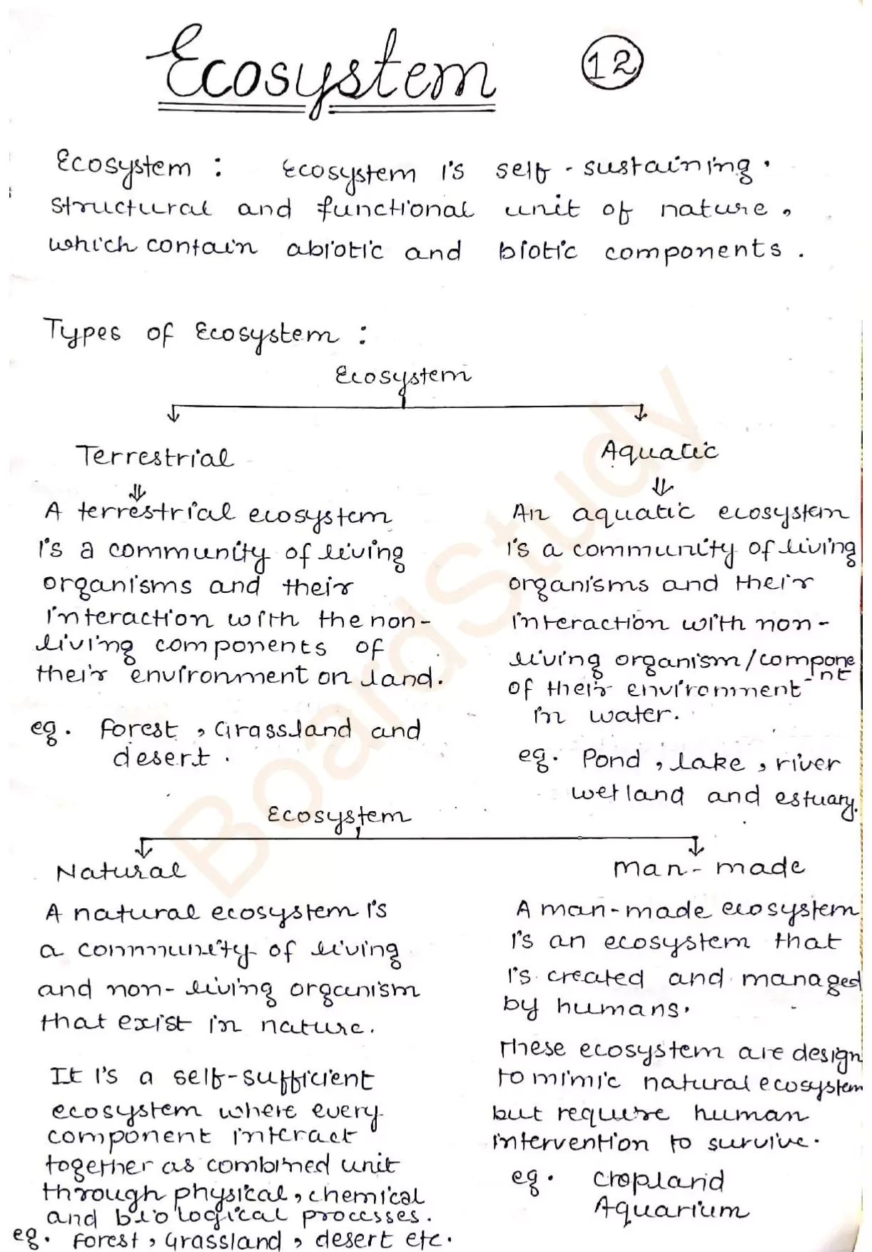 Ecosystem notes 001