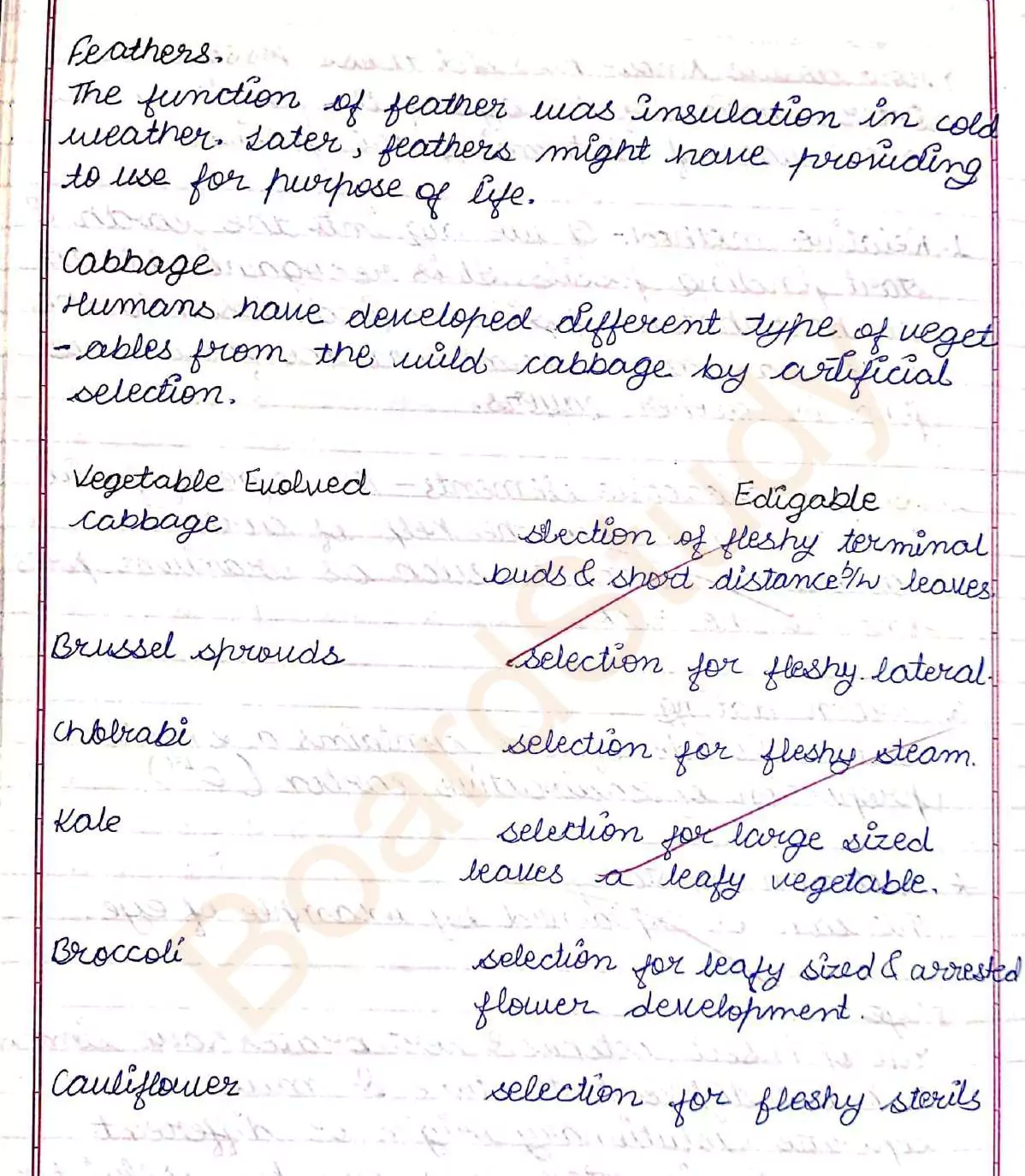 Heredity and evolution notes 023