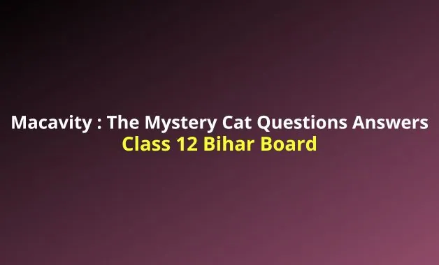 Macavity The Mystery Cat Questions and Answers