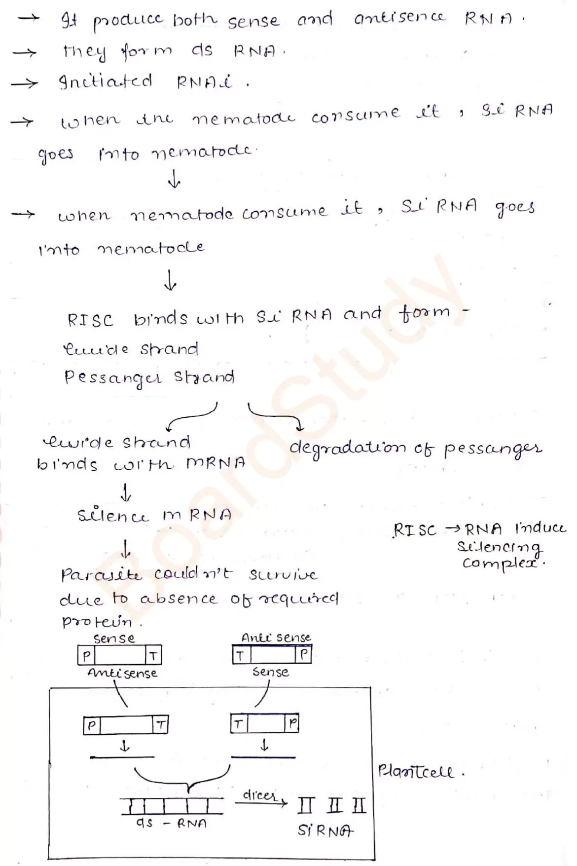 biotechnology and its applications notes 006