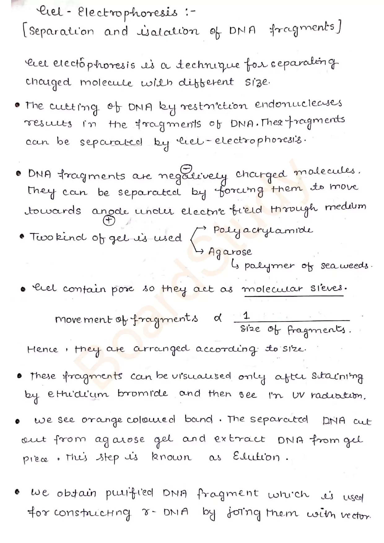 biotechnology and principles notes 006