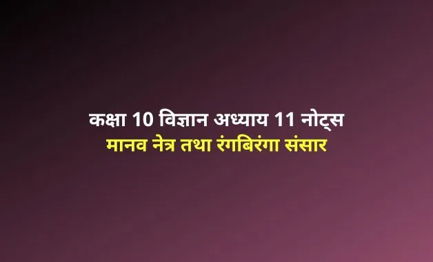 human eyes and the colorful world