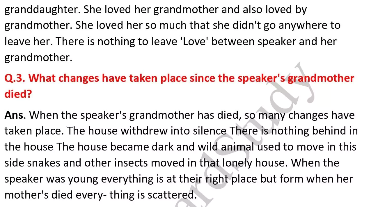 my grandmother house questions answers 005