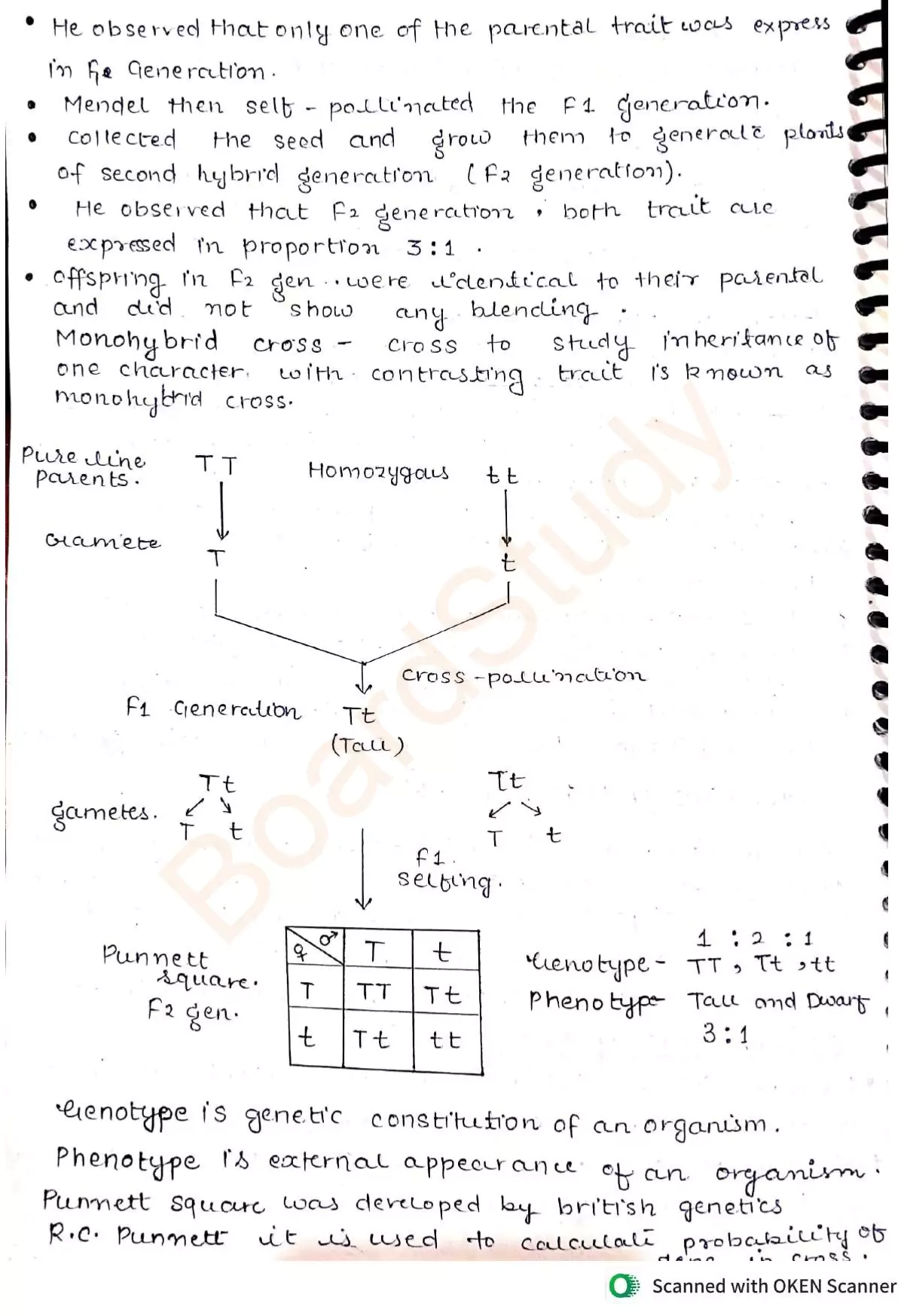principles of inheritance and variation notes 003