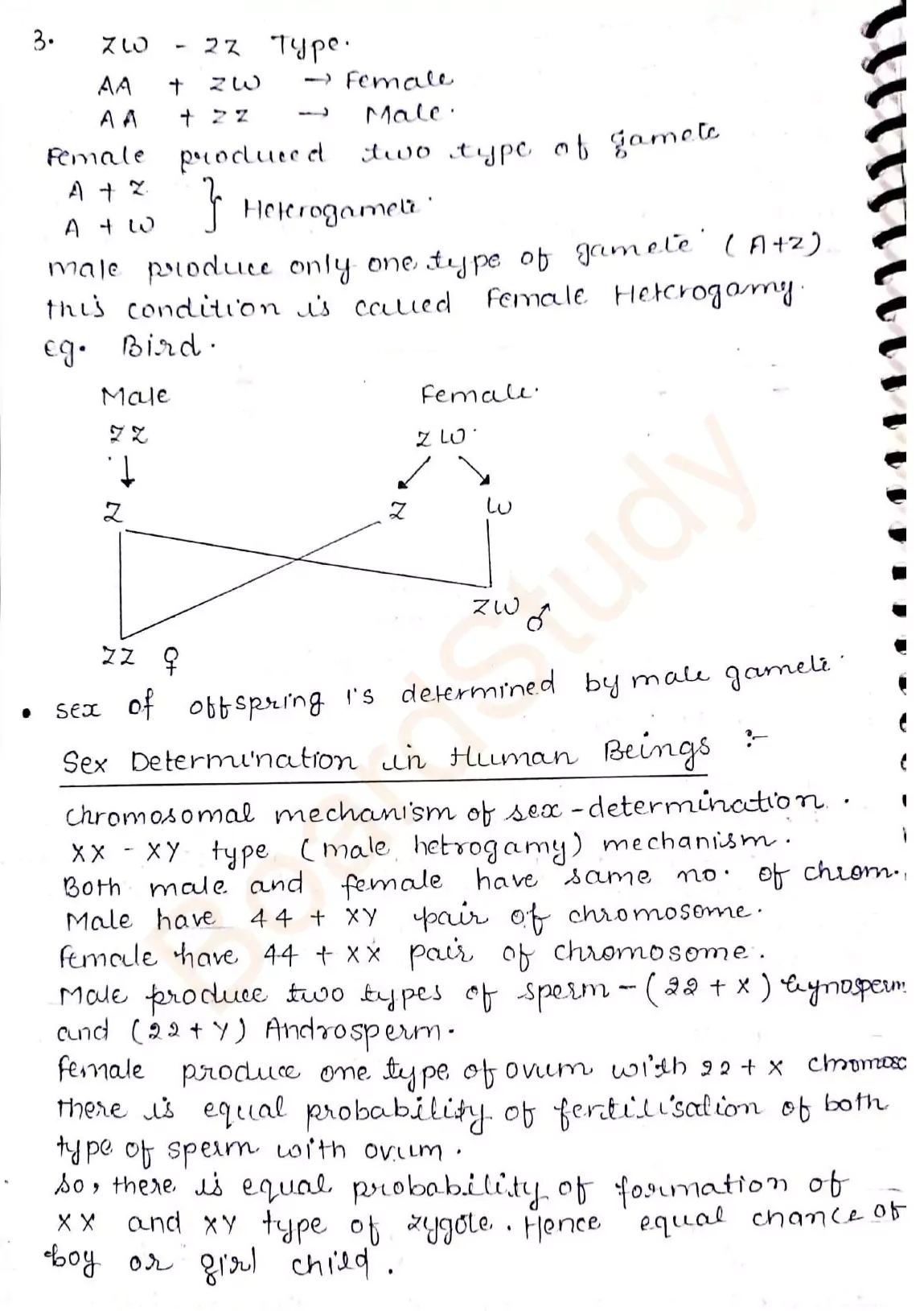principles of inheritance and variation notes 021