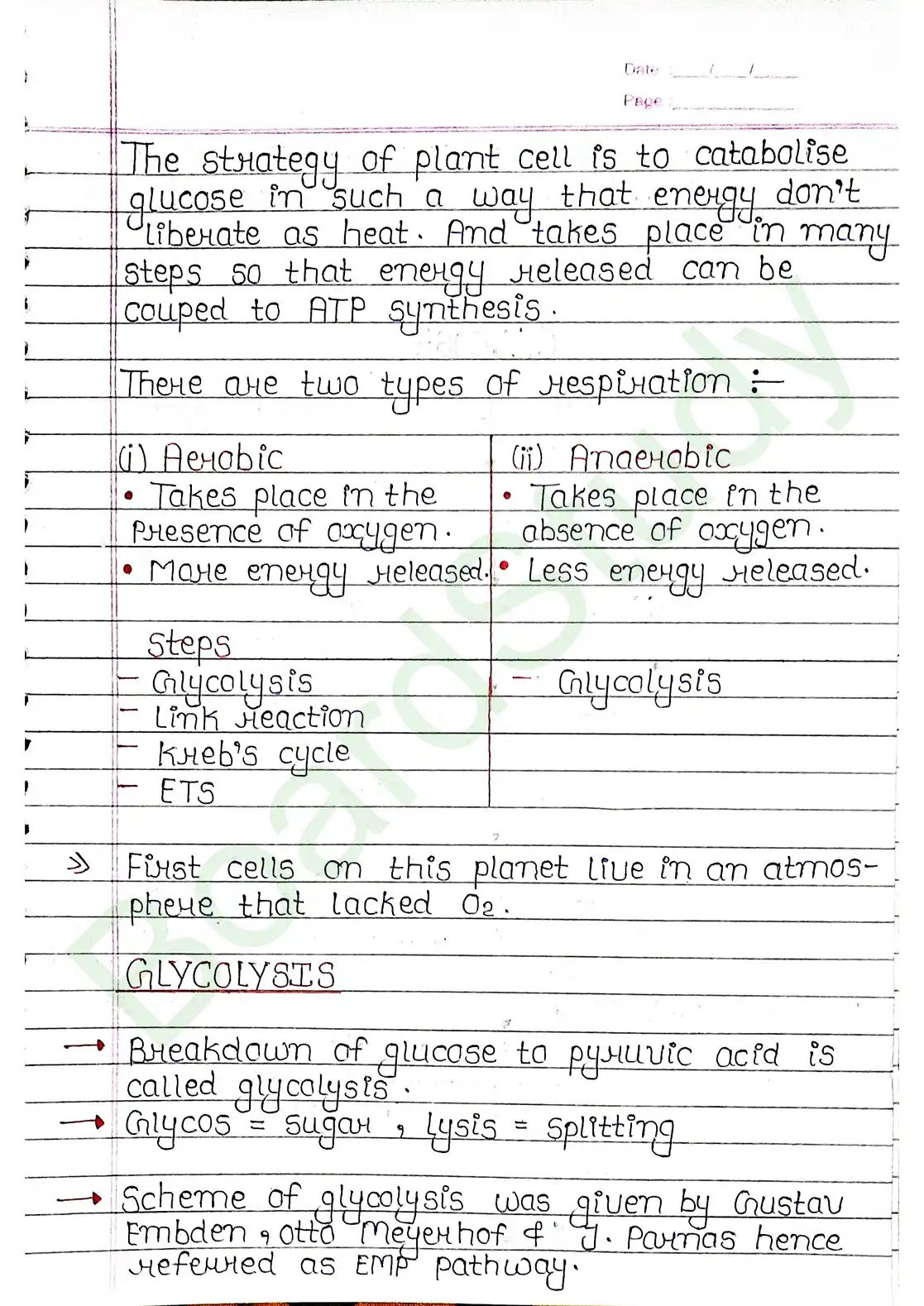 12. Respiration in plants_page-0003