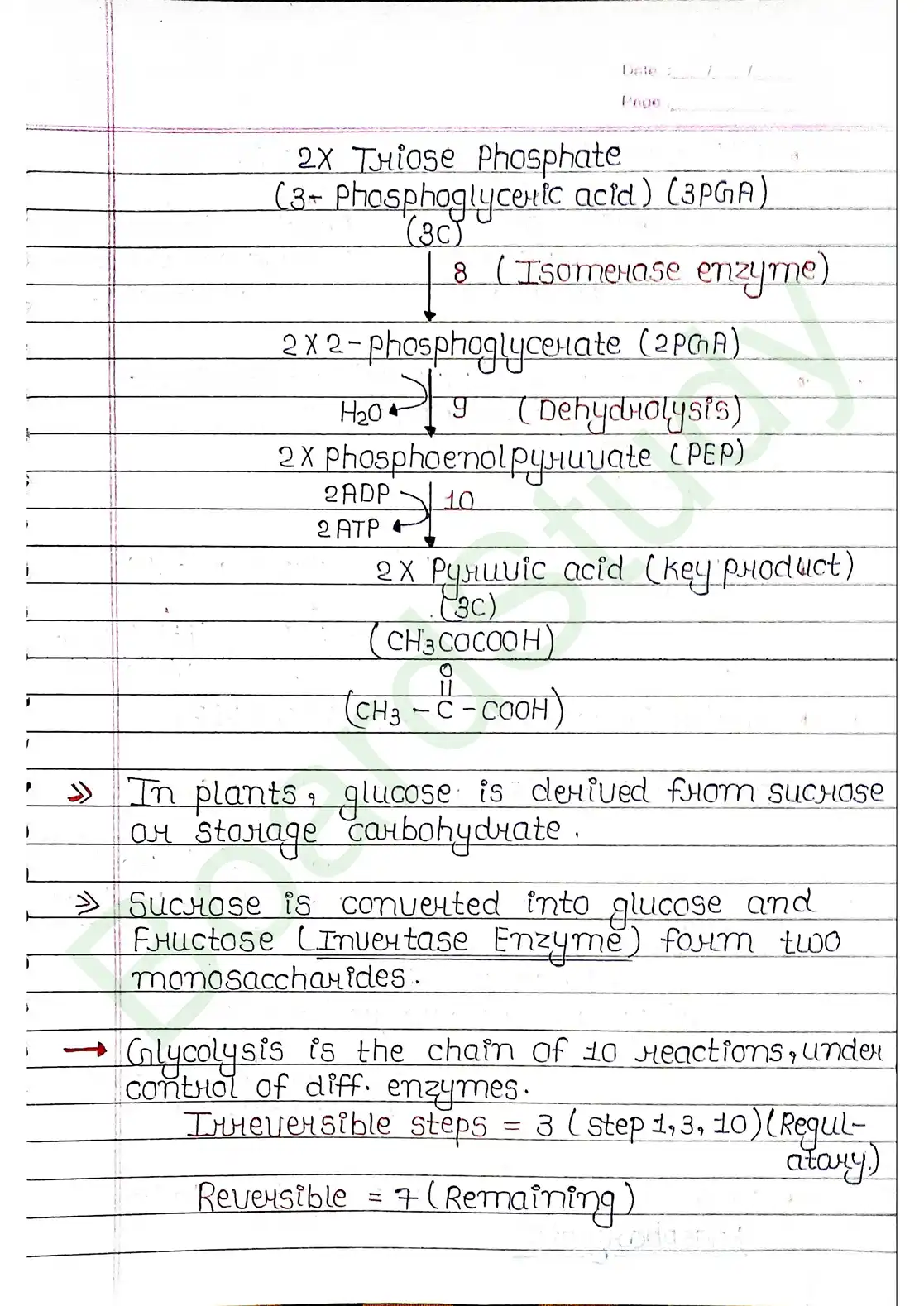 12. Respiration in plants_page-0005