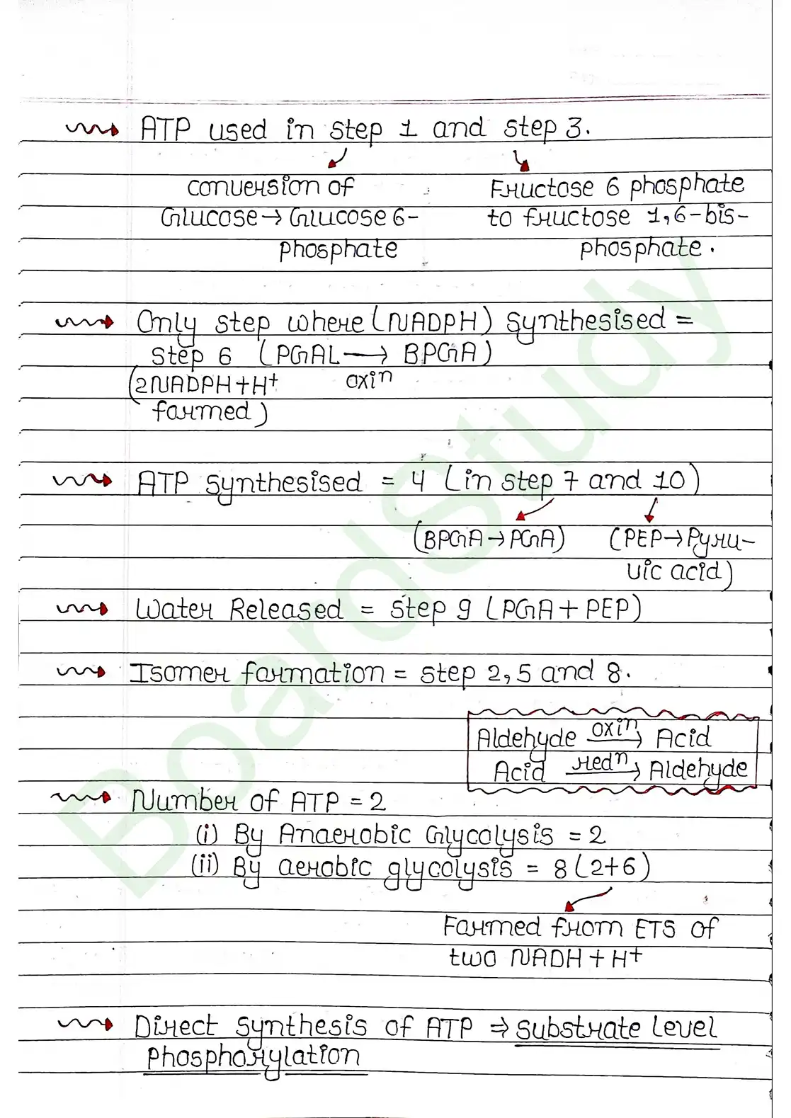 12. Respiration in plants_page-0006