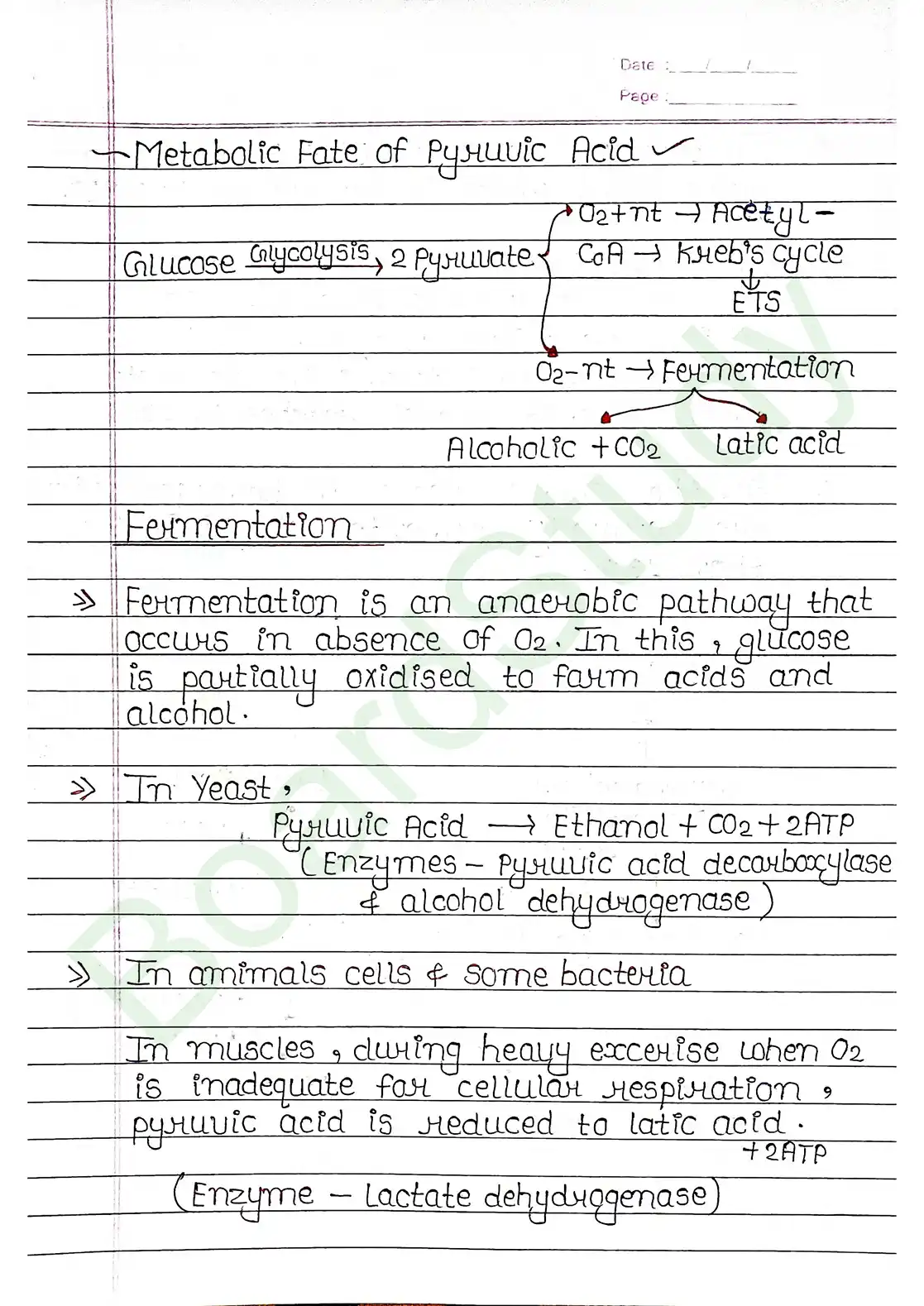 12. Respiration in plants_page-0007