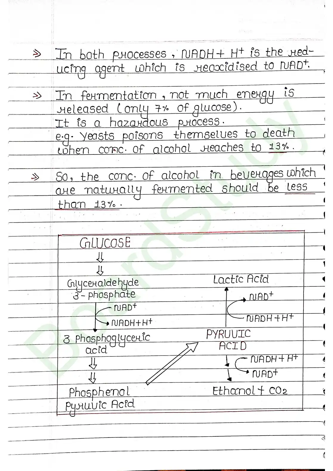 12. Respiration in plants_page-0008