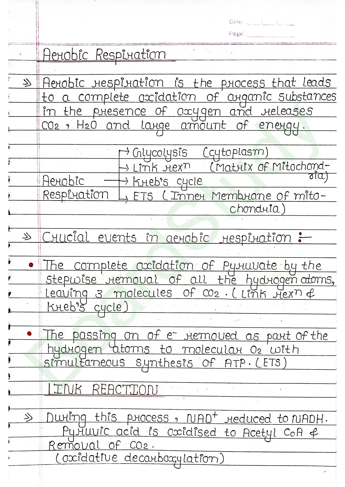 12. Respiration in plants_page-0009