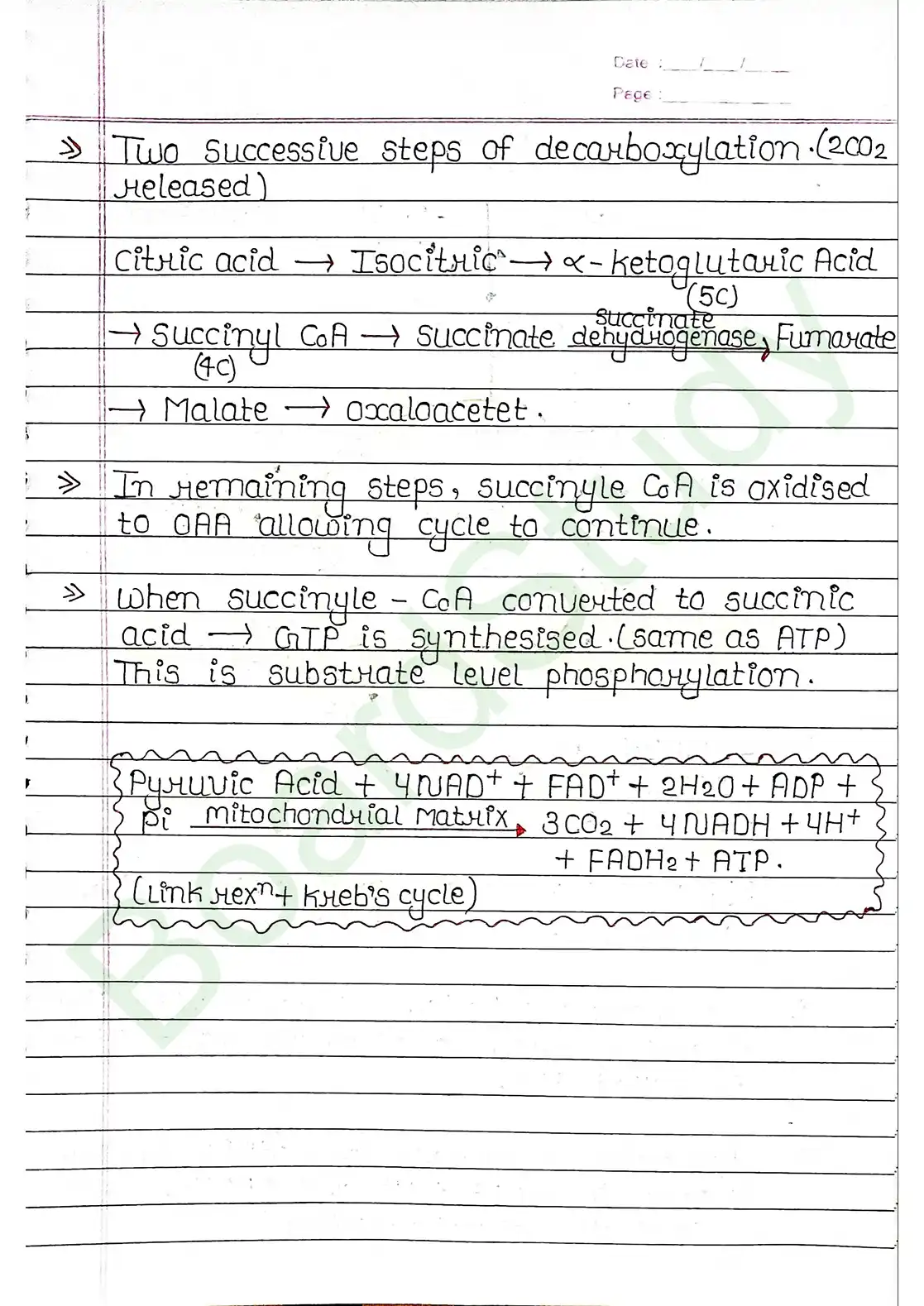 12. Respiration in plants_page-0011