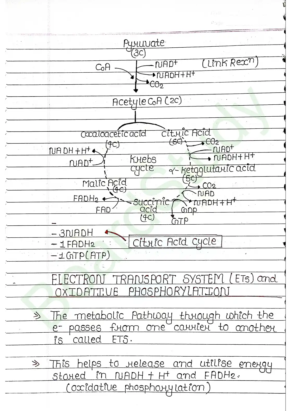 12. Respiration in plants_page-0012
