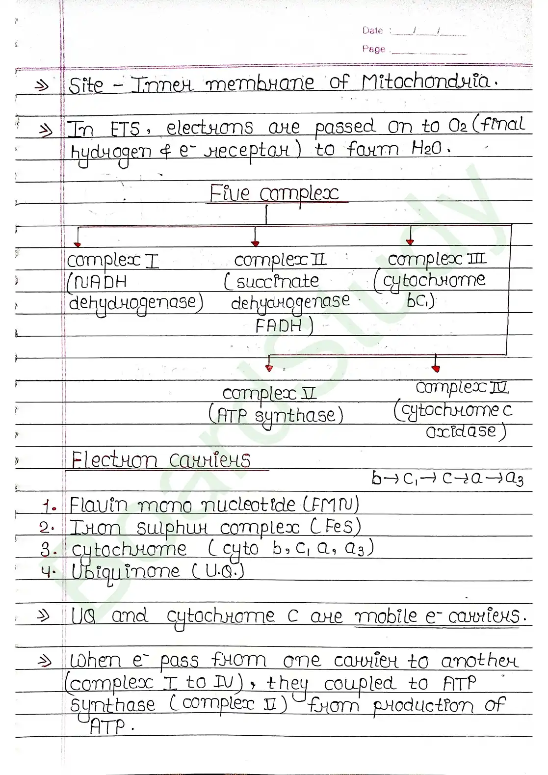 12. Respiration in plants_page-0013