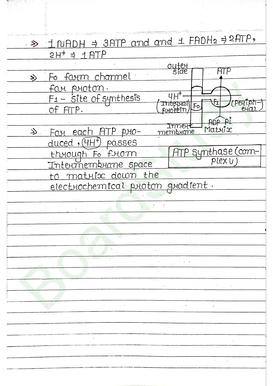 12. Respiration in plants_page-0014