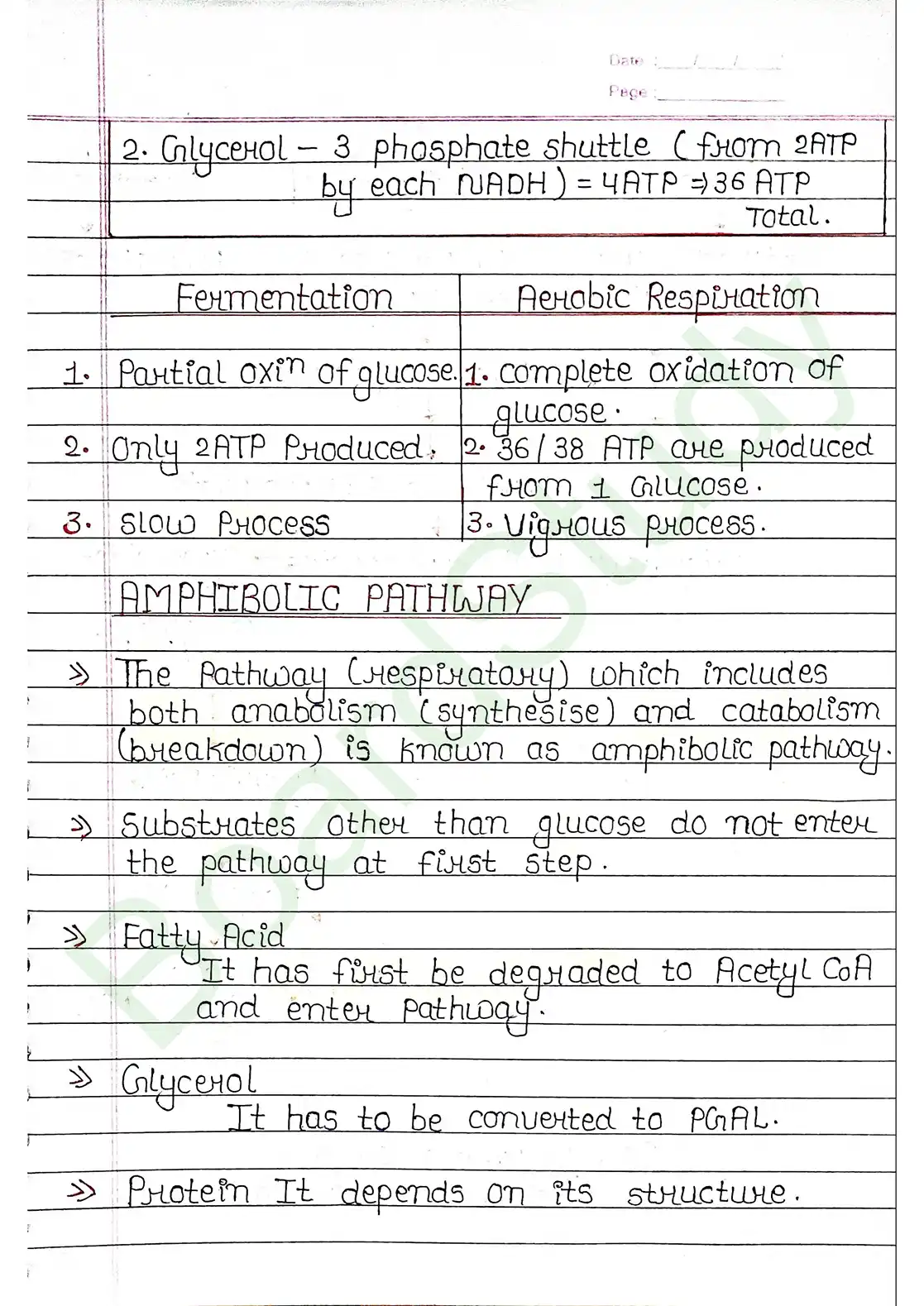 12. Respiration in plants_page-0017