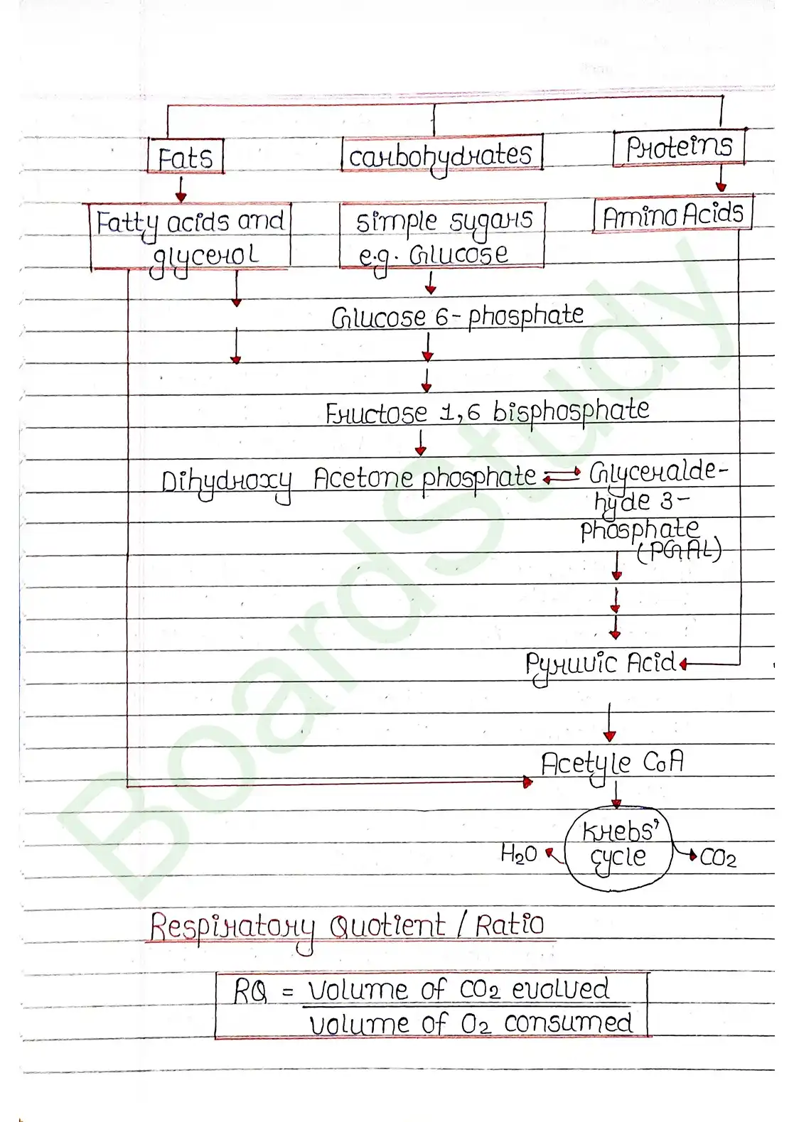 12. Respiration in plants_page-0018