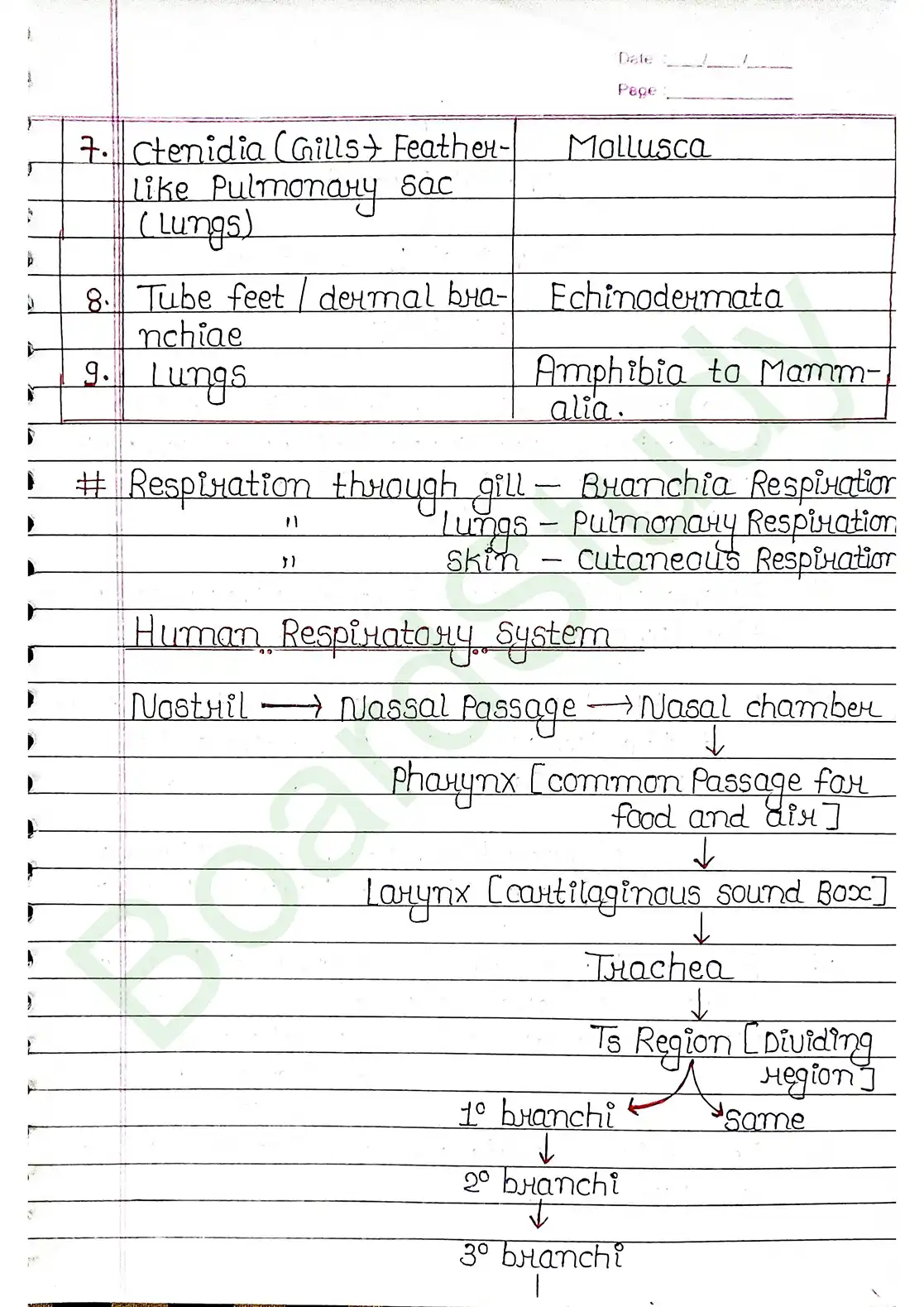 14. Breathing & Exchange of gases_page-0002