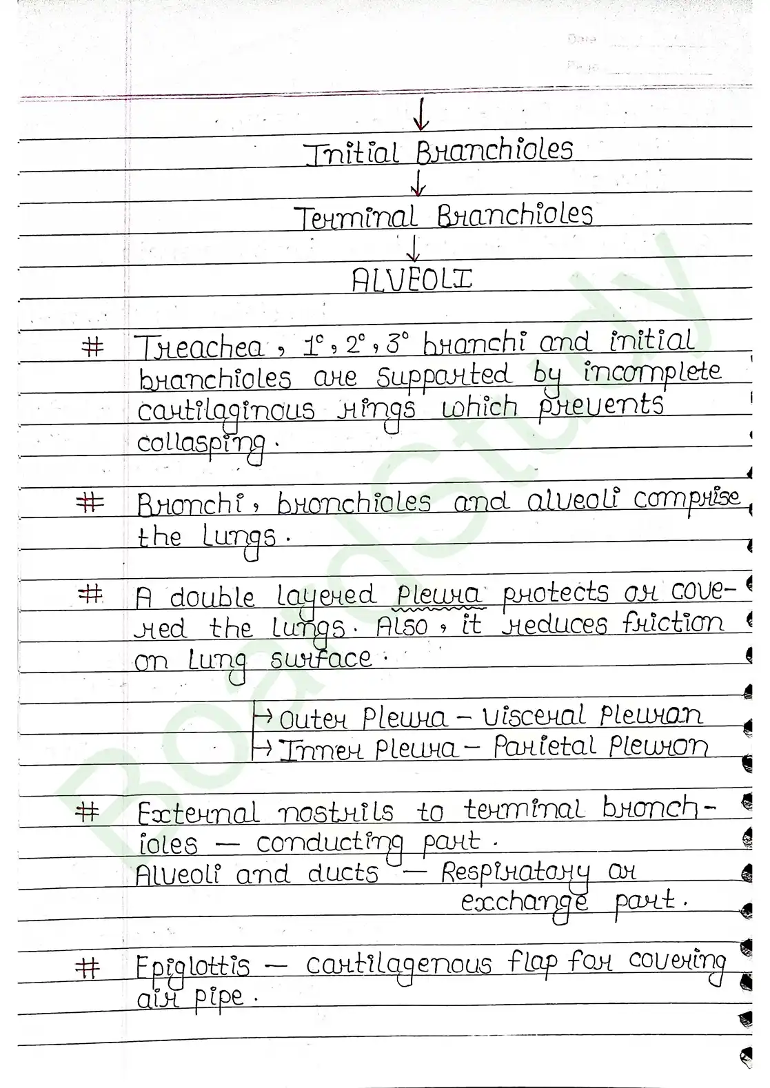 14. Breathing & Exchange of gases_page-0003