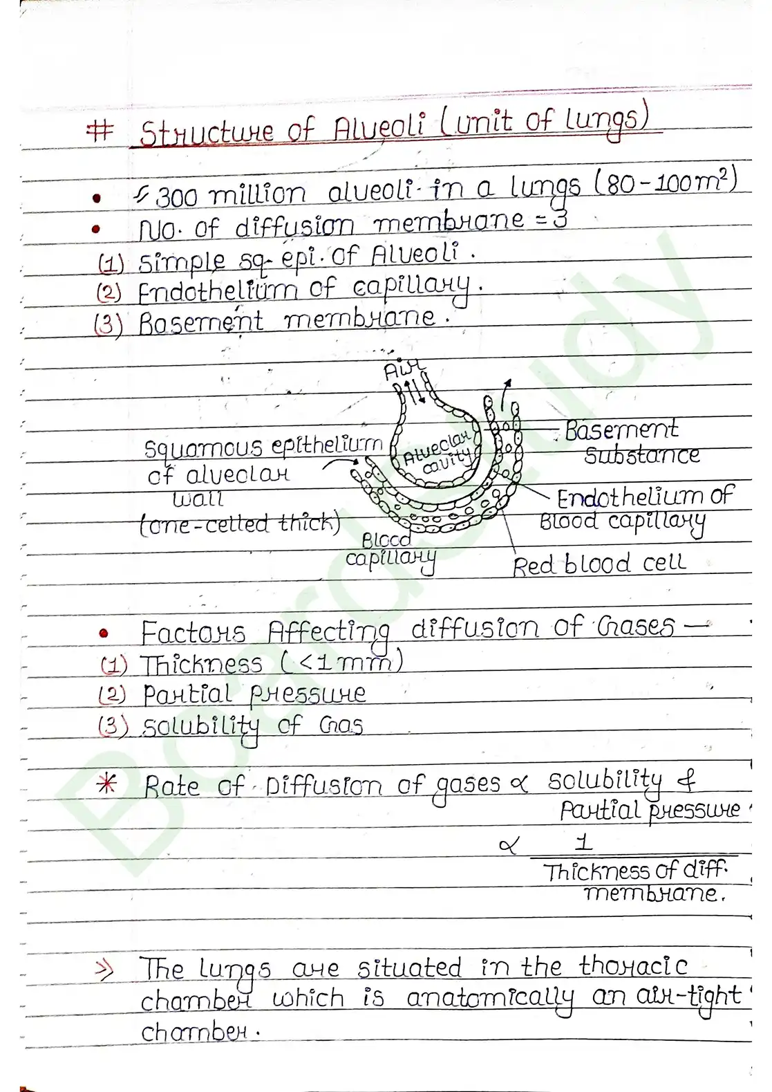 14. Breathing & Exchange of gases_page-0005