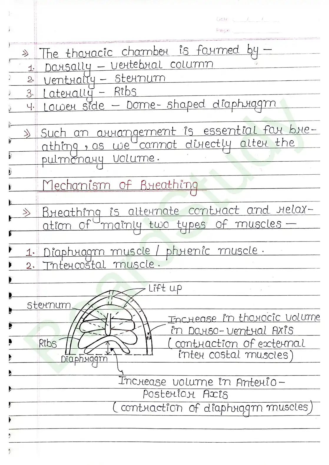 14. Breathing & Exchange of gases_page-0006