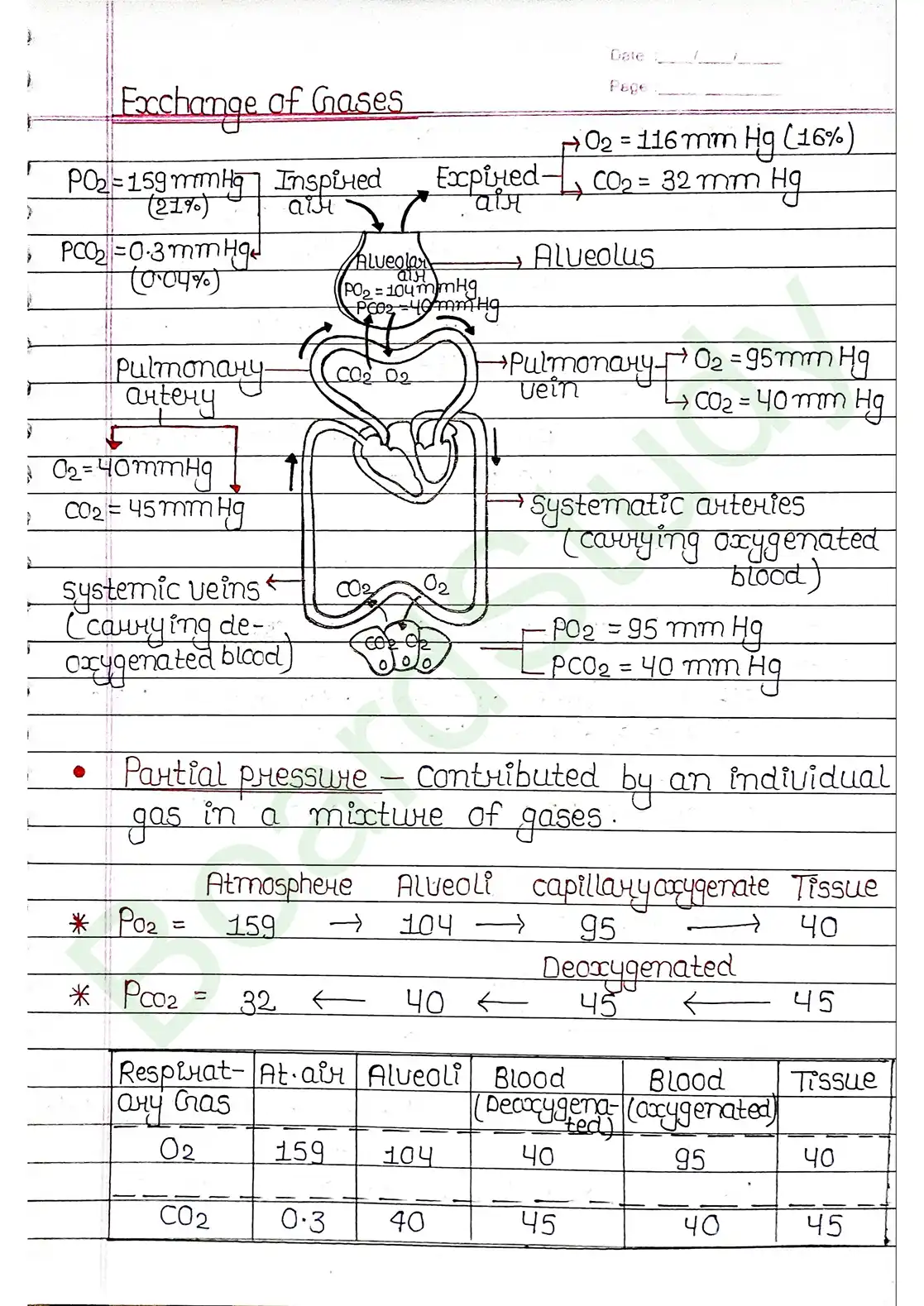 14. Breathing & Exchange of gases_page-0010