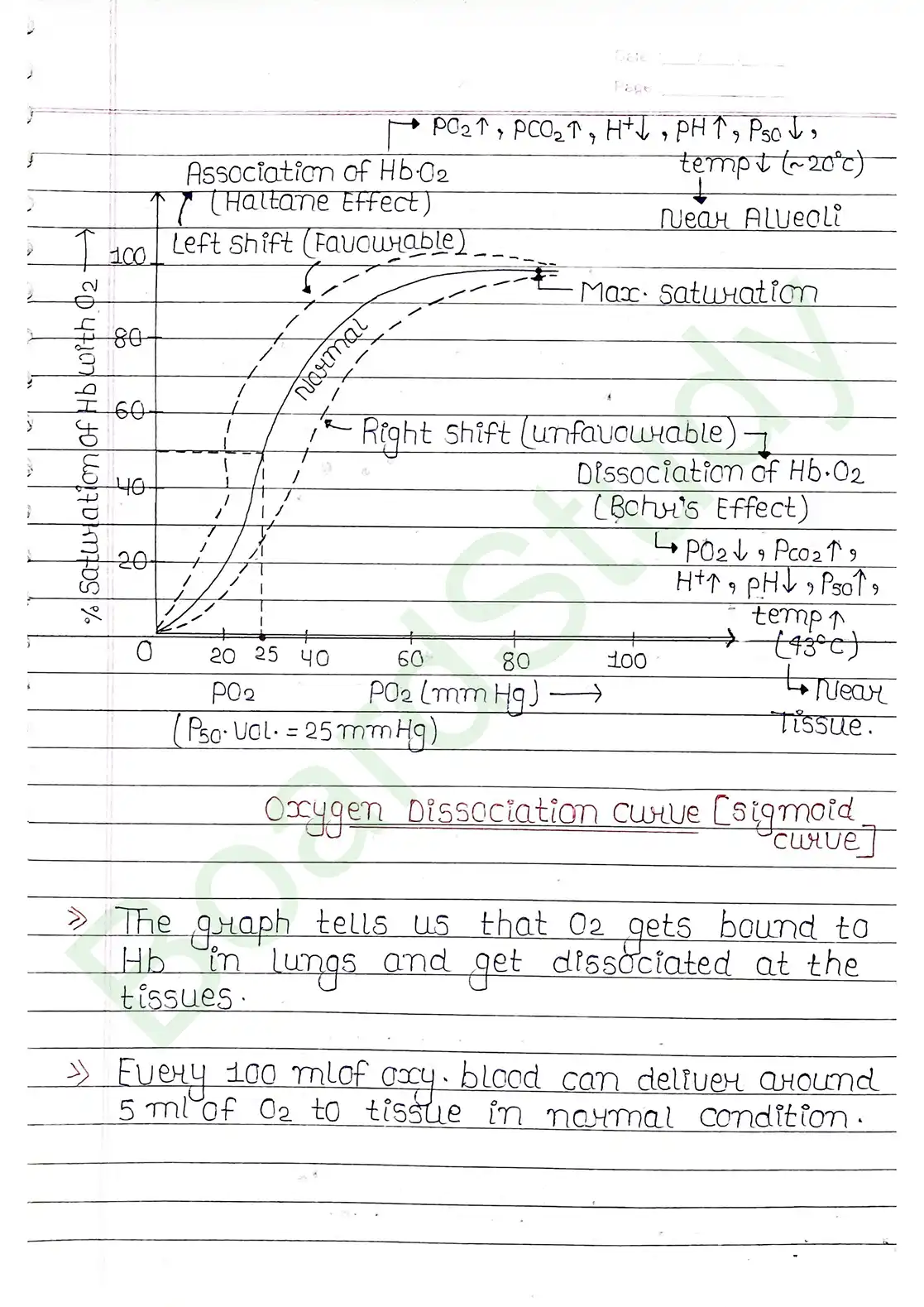 14. Breathing & Exchange of gases_page-0012
