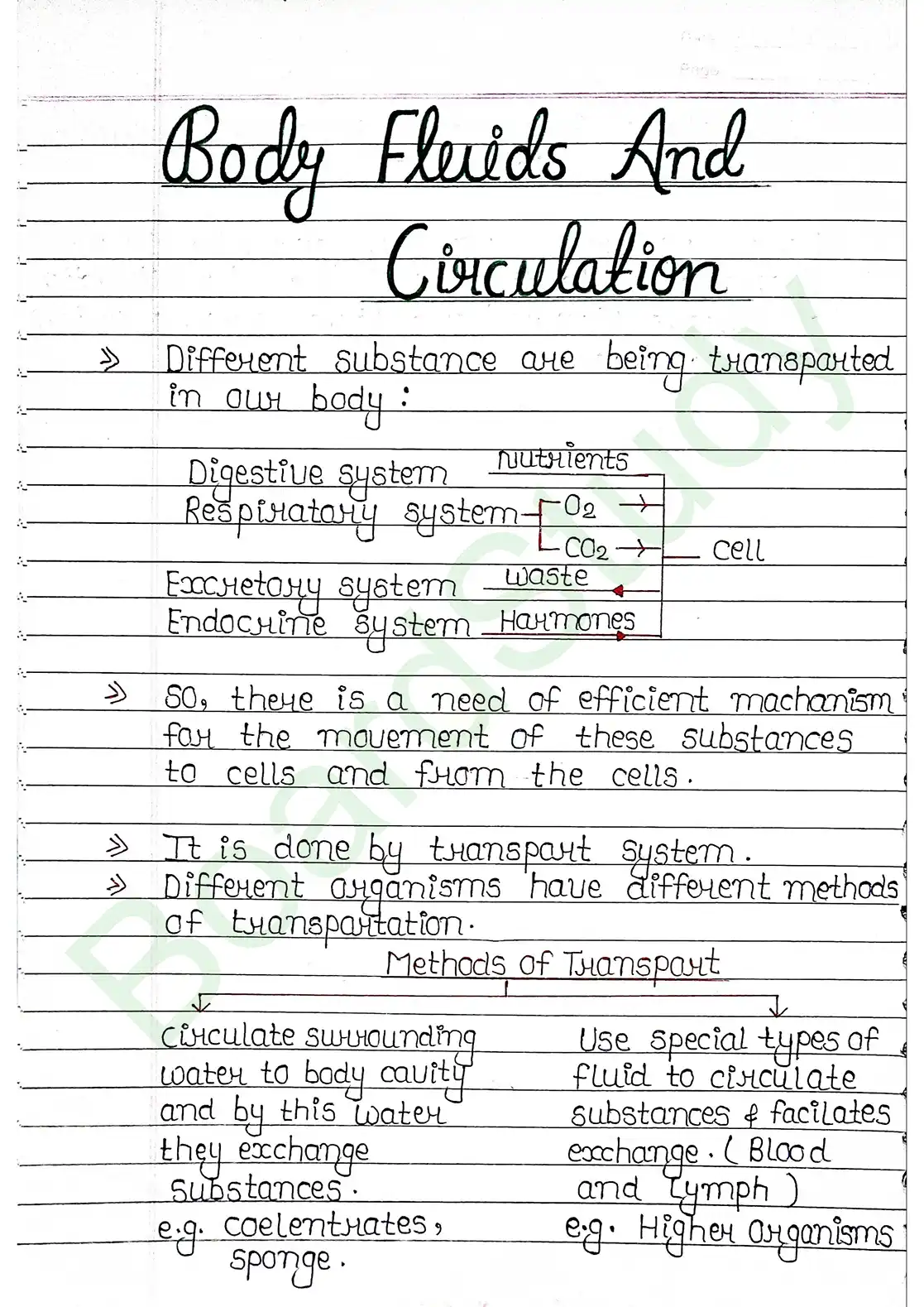 15. Body fluids and circulation_page-0001