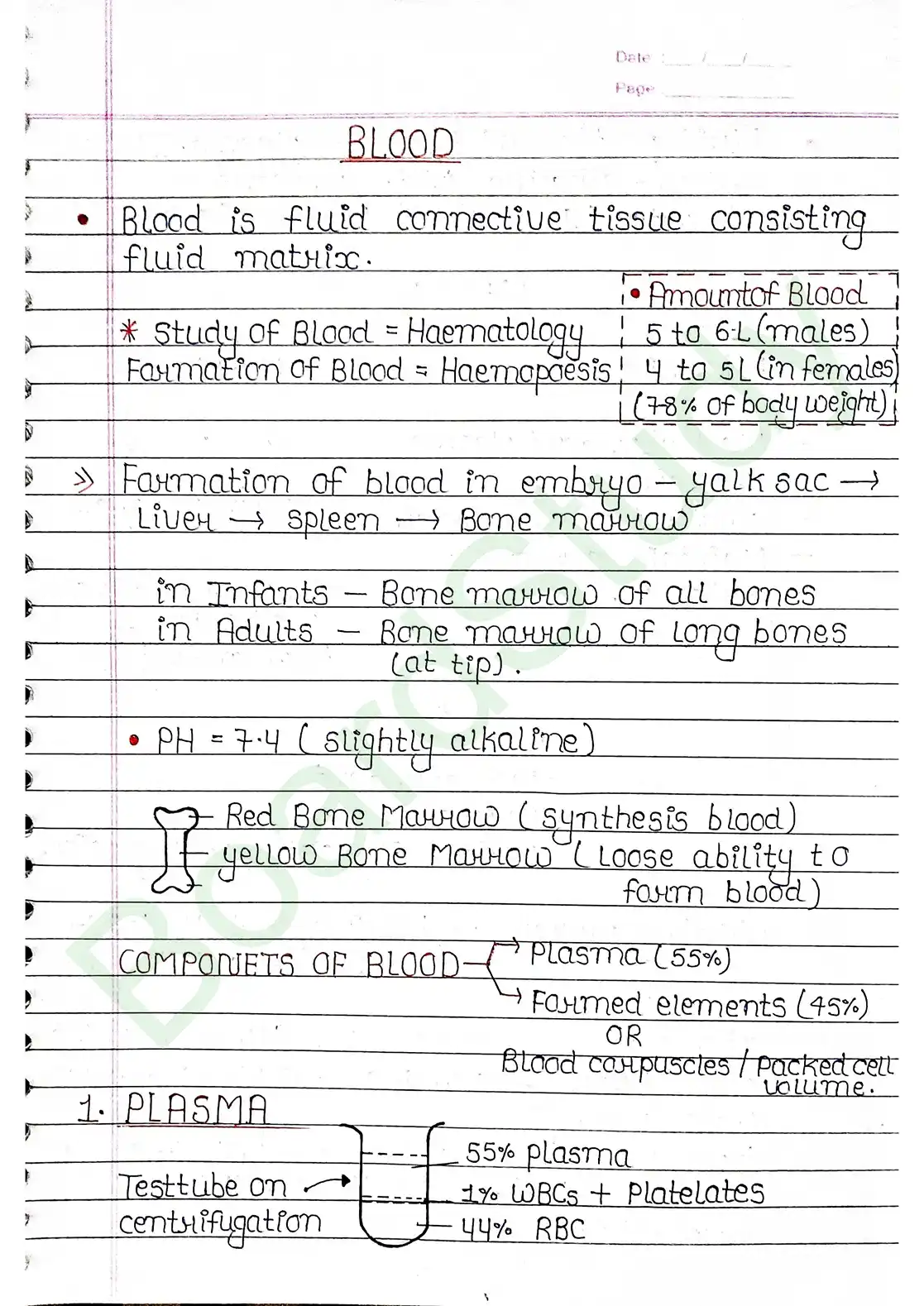 15. Body fluids and circulation_page-0002