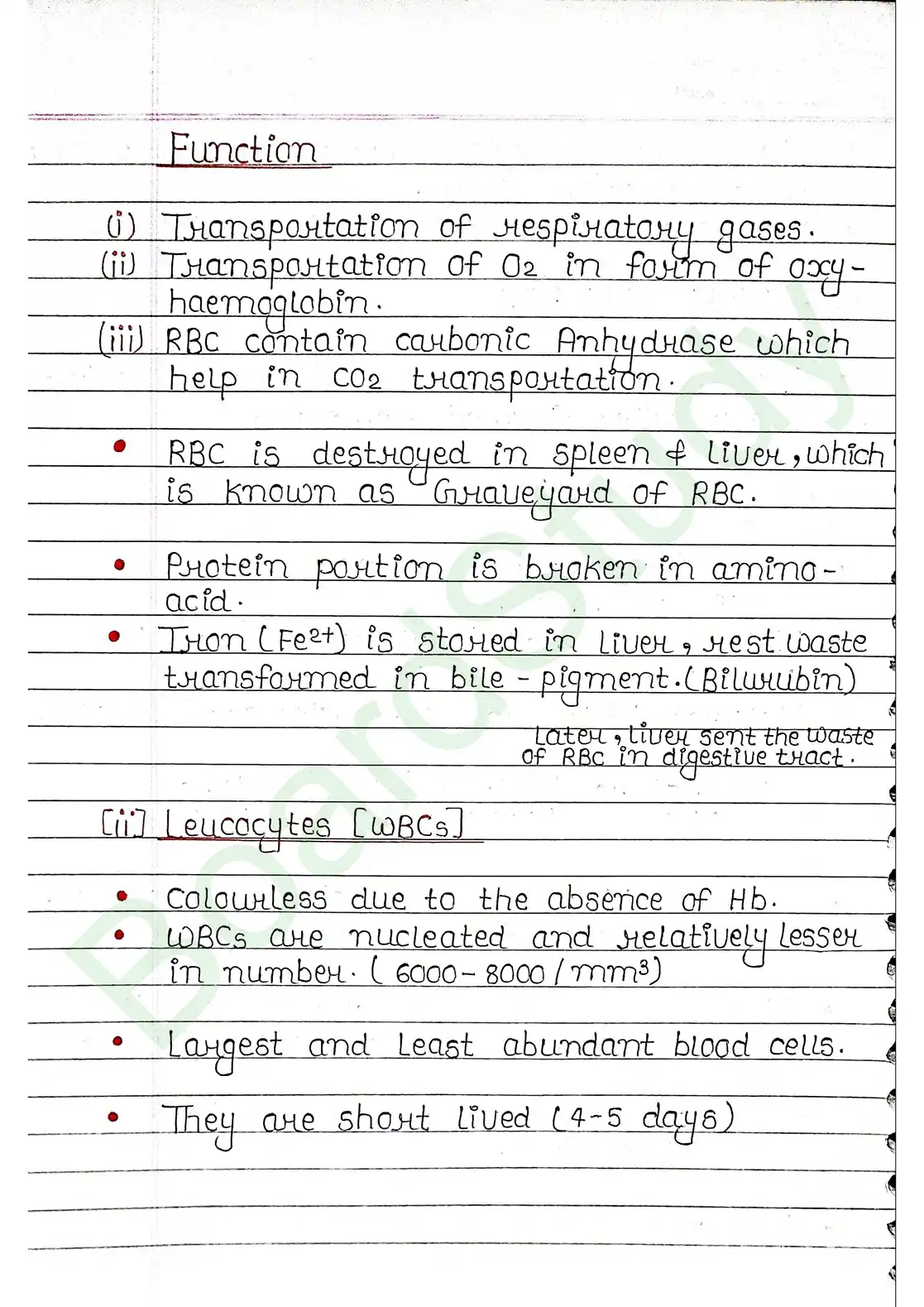 15. Body fluids and circulation_page-0005