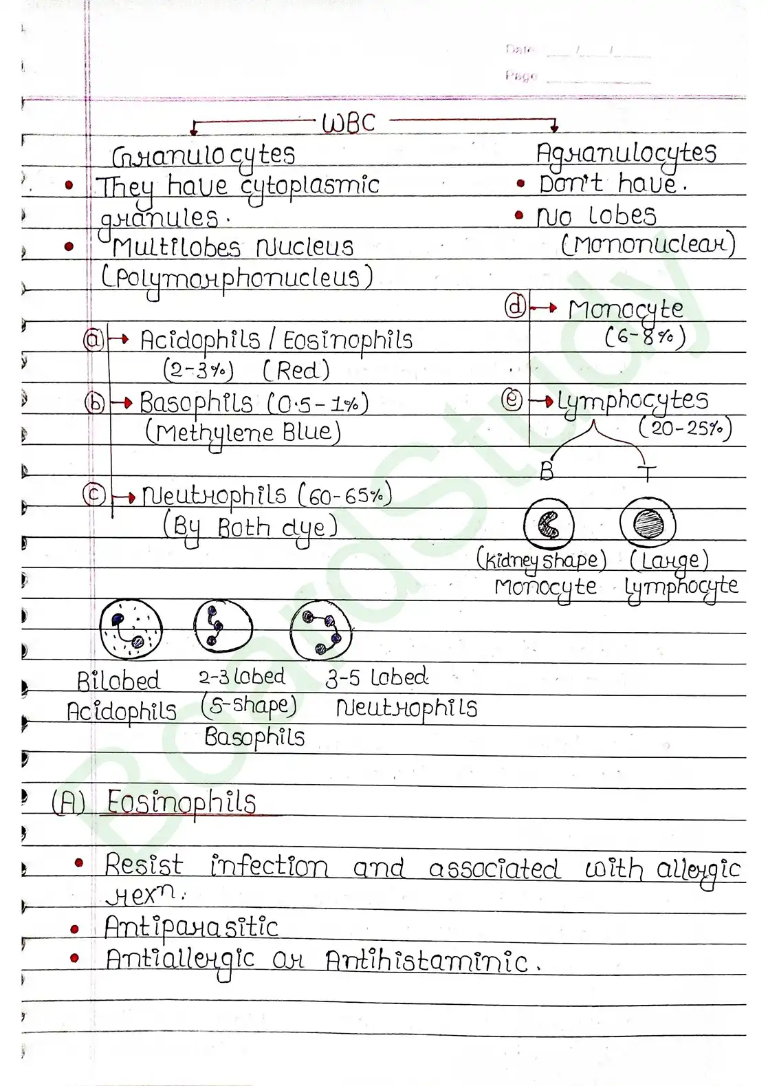 15. Body fluids and circulation_page-0006
