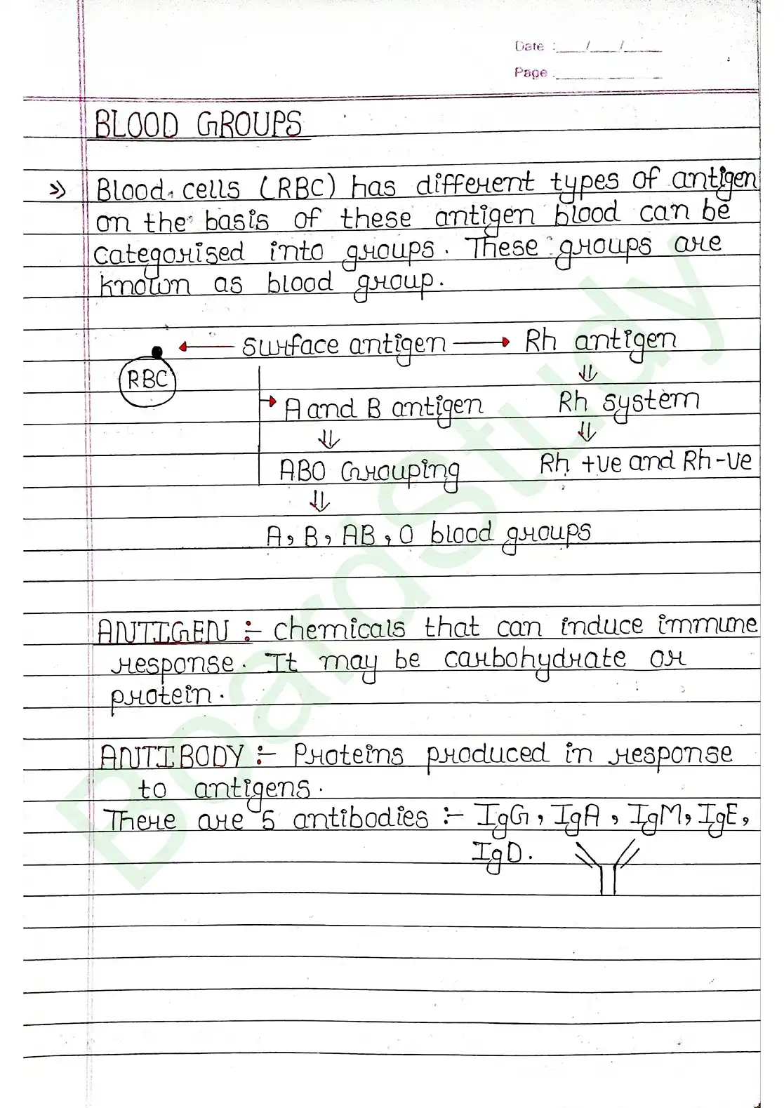 15. Body fluids and circulation_page-0010