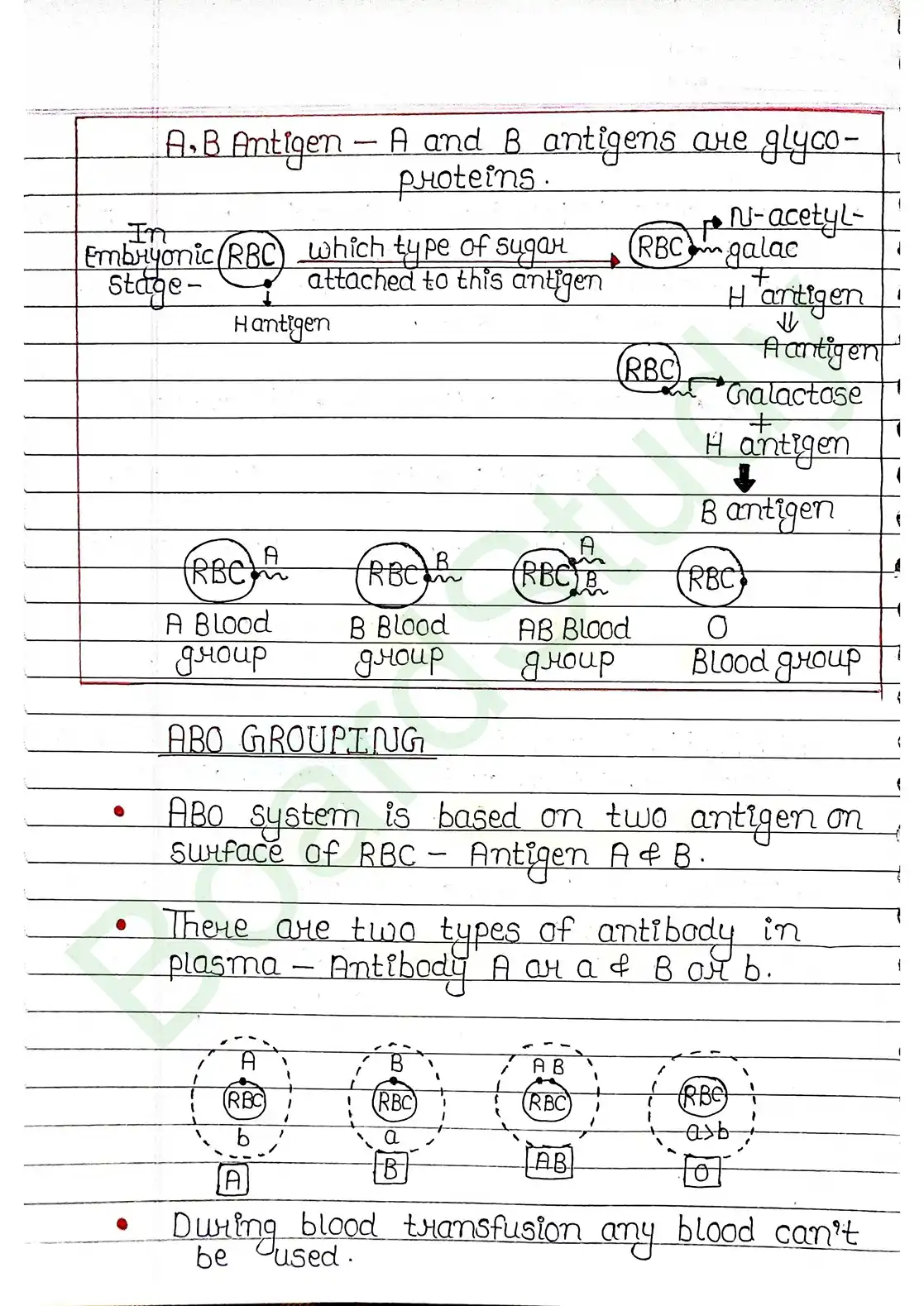 15. Body fluids and circulation_page-0011