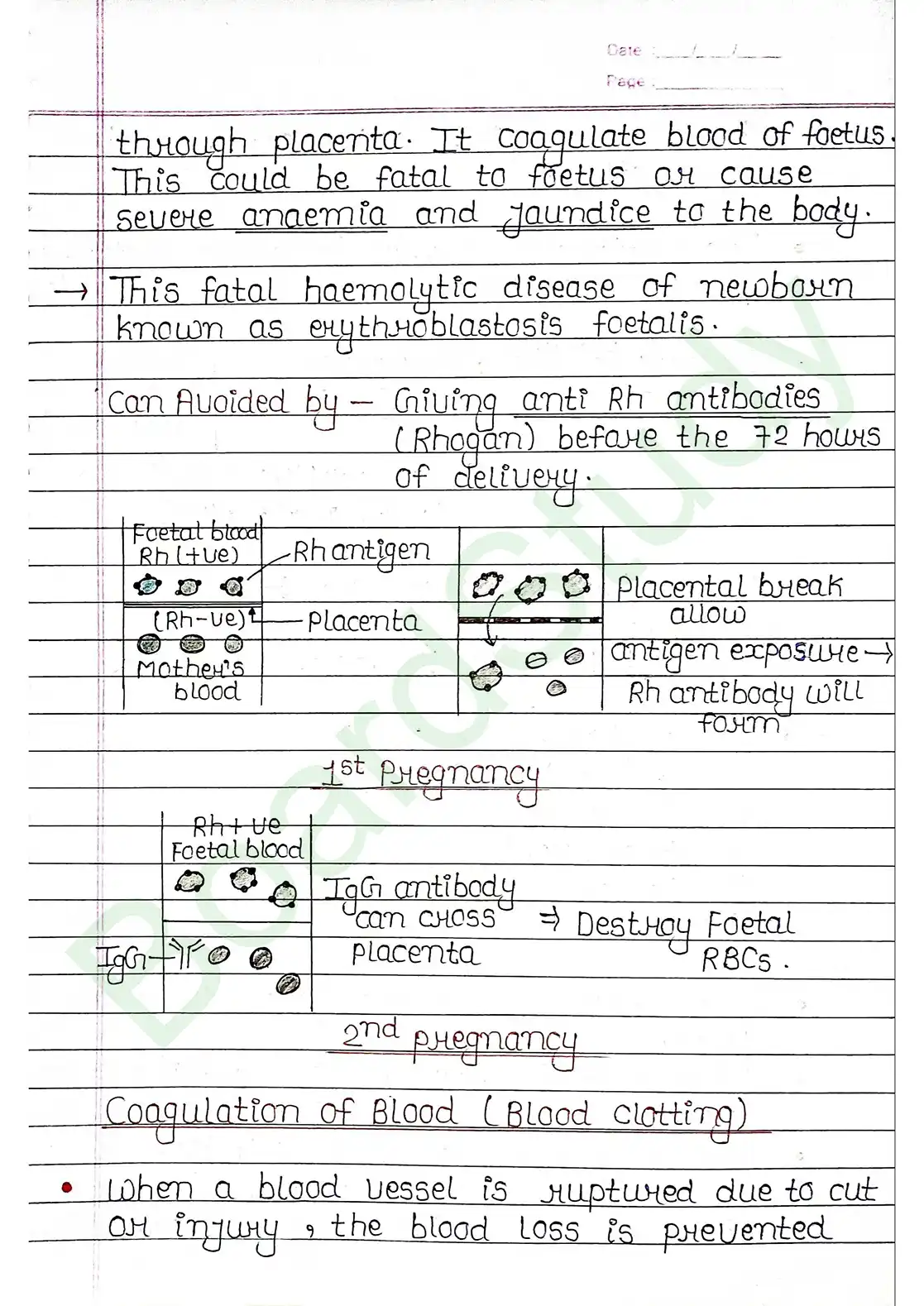 15. Body fluids and circulation_page-0014