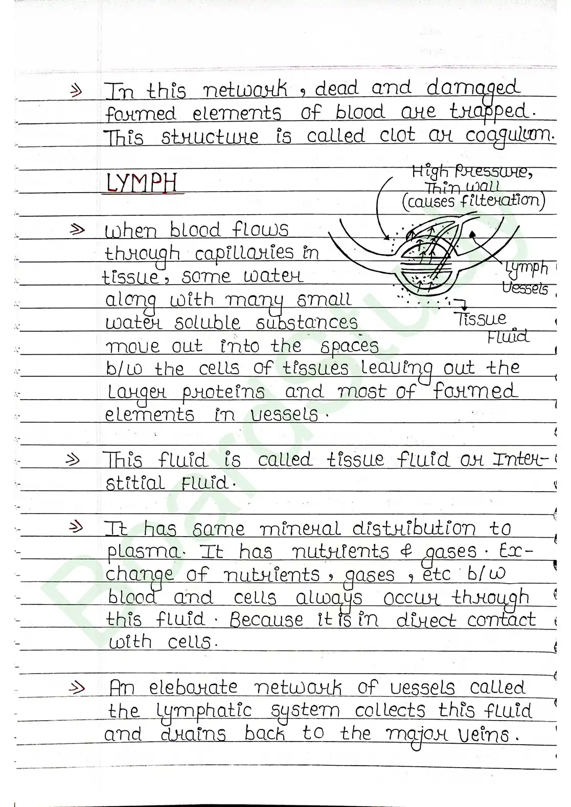 15. Body fluids and circulation_page-0017