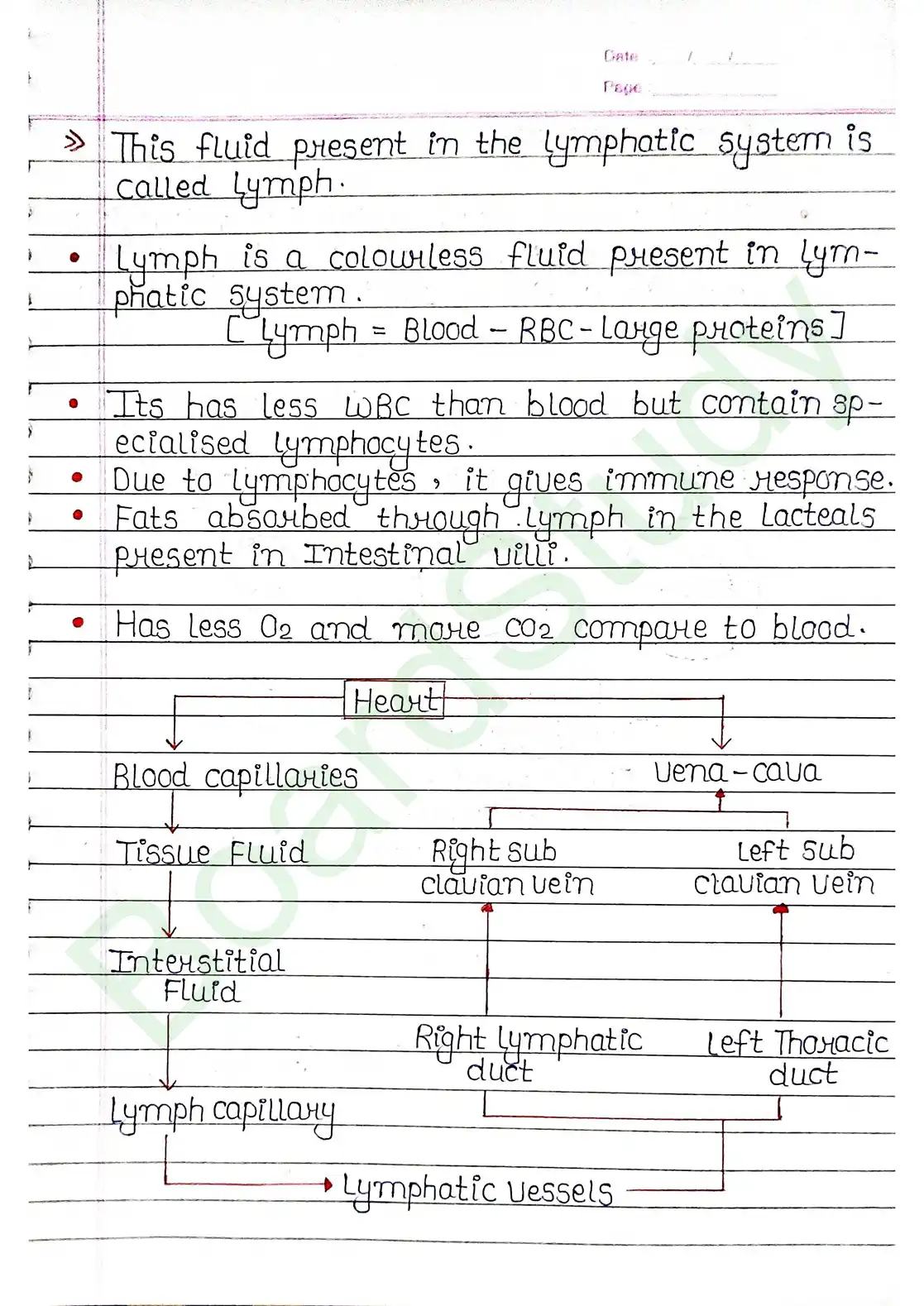 15. Body fluids and circulation_page-0018