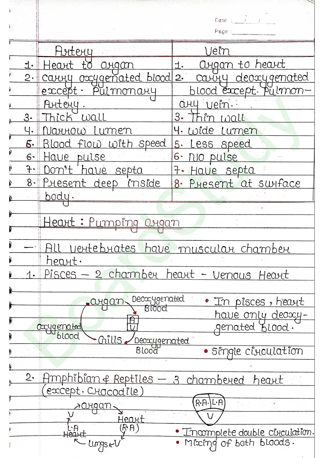 15. Body fluids and circulation_page-0020